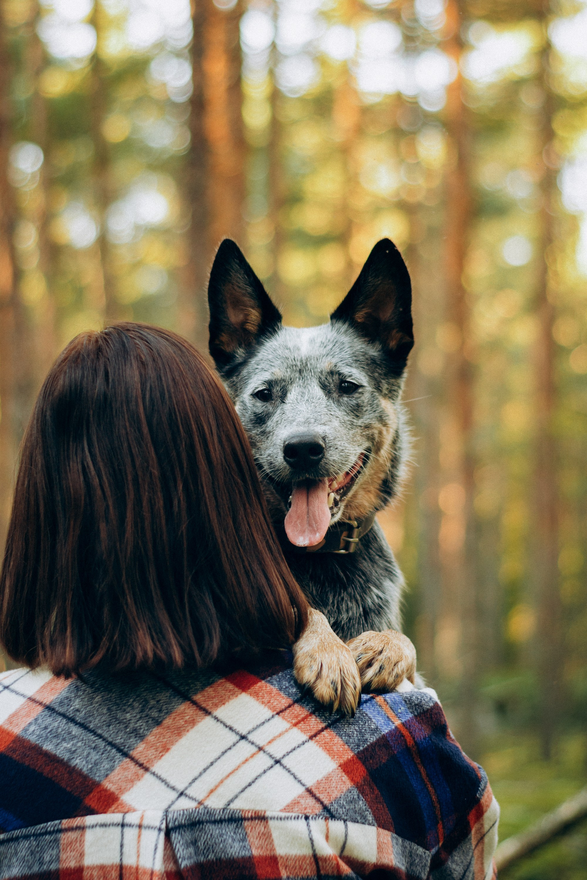 Polina and her Dakota, Blue Heeler. Kat Laisaar — Pet photographer in Tallinn