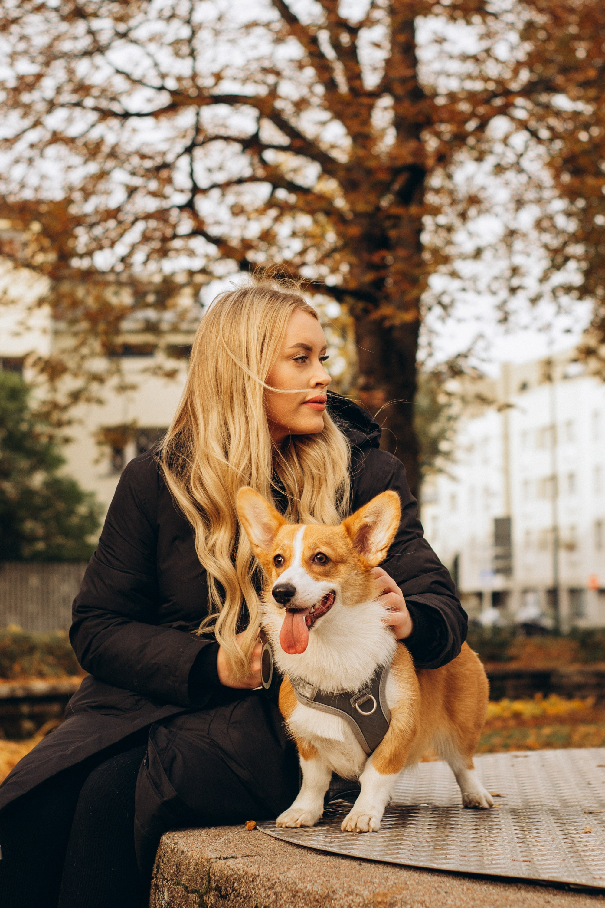 Corgi party, october. Kat Laisaar — Pet photographer in Tallinn