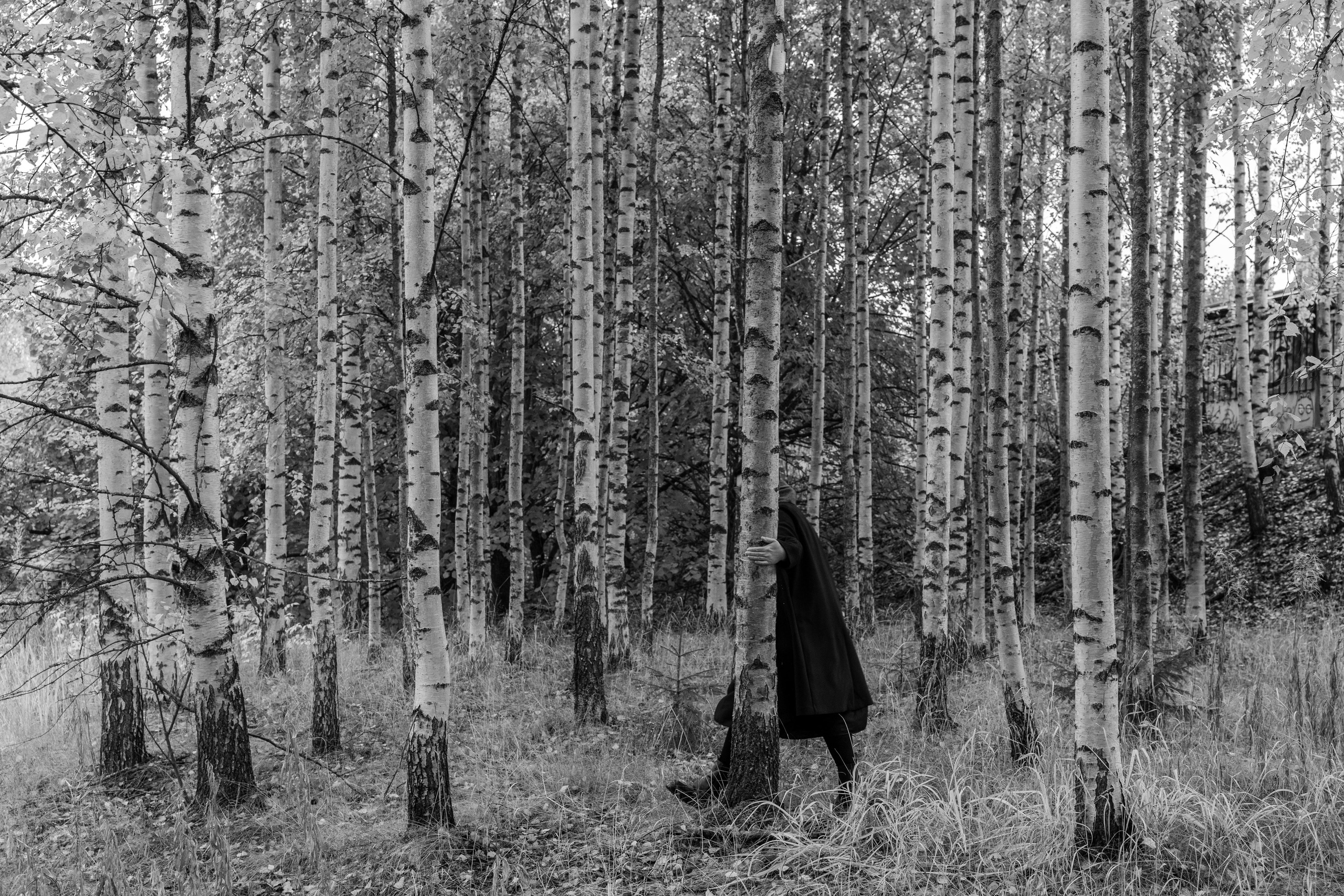 Friends or foes. Maija Bondar Photographer