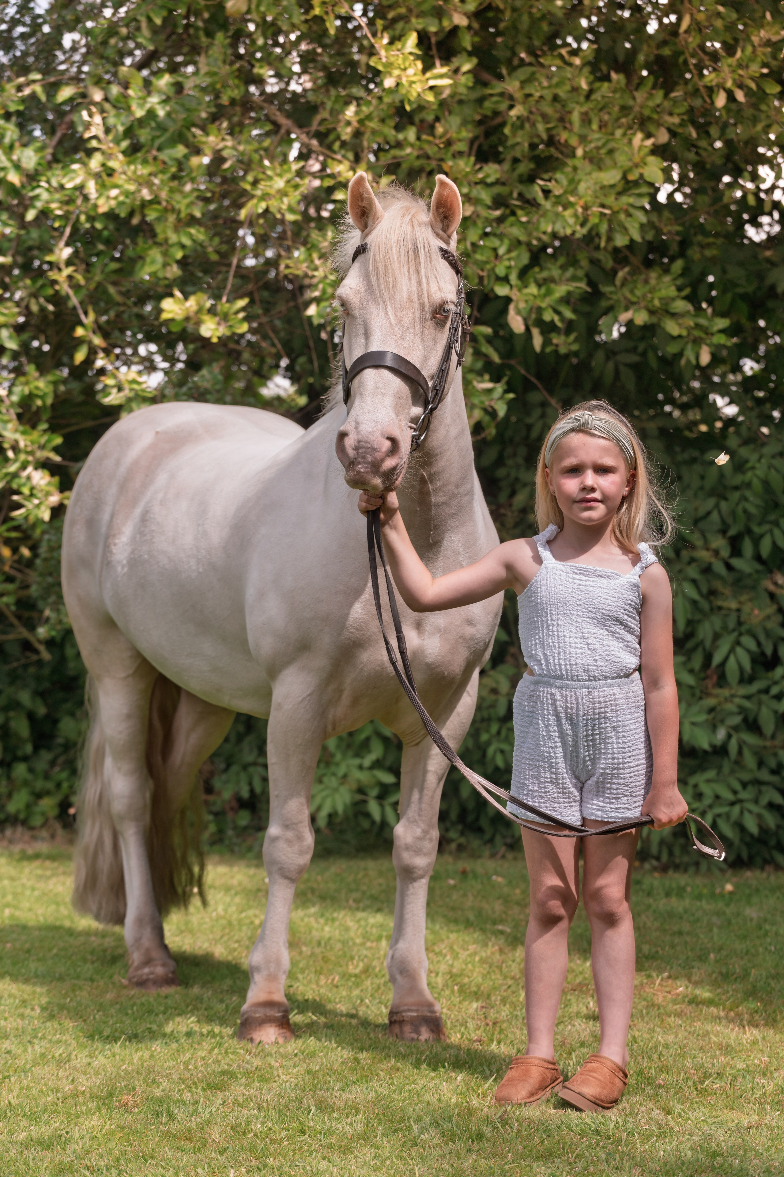 Equine Photography Portfolio | Leicestershire Horse Portrait Photographer. Leicestershire Equine Photography by El | Authentic Equine Portraits & Events