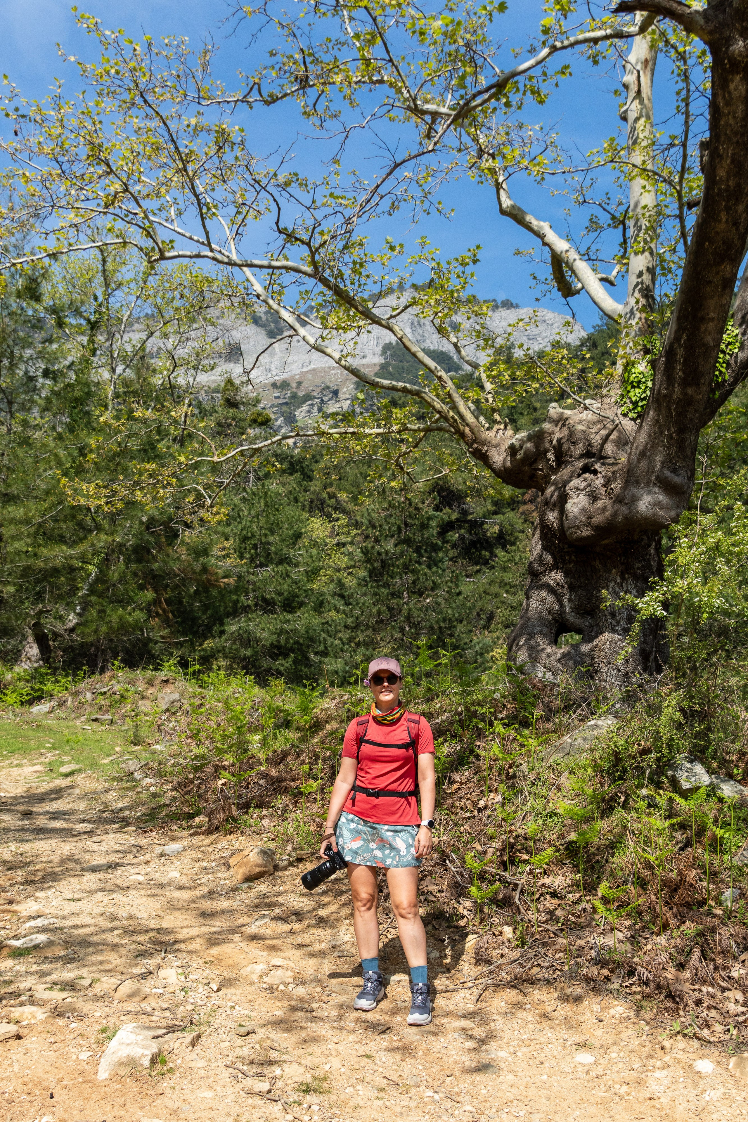 Thasos 2025. Fotografiideplacere.net