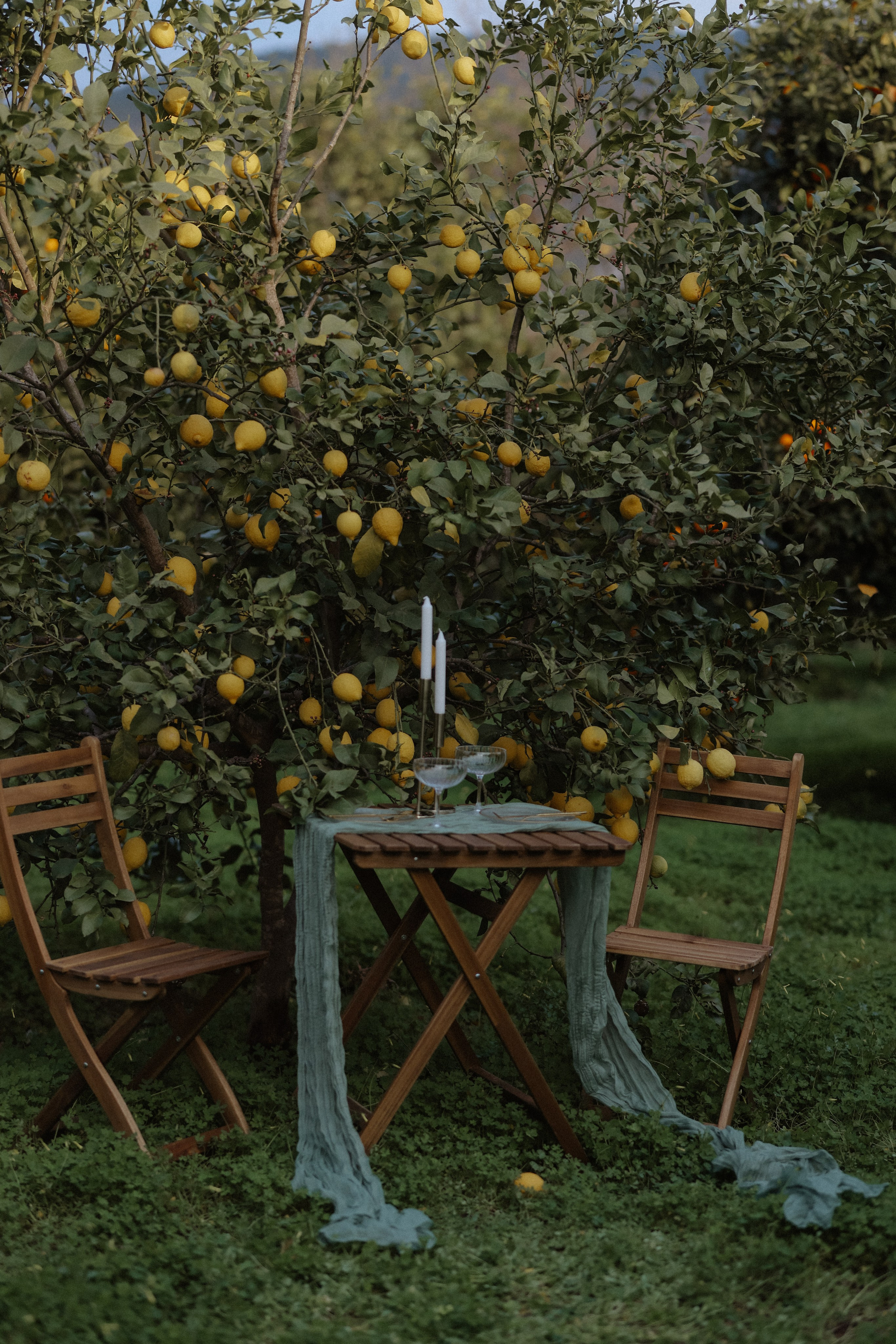 Романтическое оформление пикника на пляже в Турции – нежные цветочные композиции, уютные подушки и стильная сервировка.Свадебный декор в природном стиле: пастельные оттенки, продуманное оформление и атмосфера уюта.Организация пикников и свадеб в Турции – стильное оформление, красивые детали и незабываемая атмосфера.Пляжный свадебный декор с элегантной сервировкой, цветами и комфортной зоной отдыха.Фотограф, декоратор и организатор мероприятий в Турции – создаем идеальные свадебные оформления и атмосферные пикники.