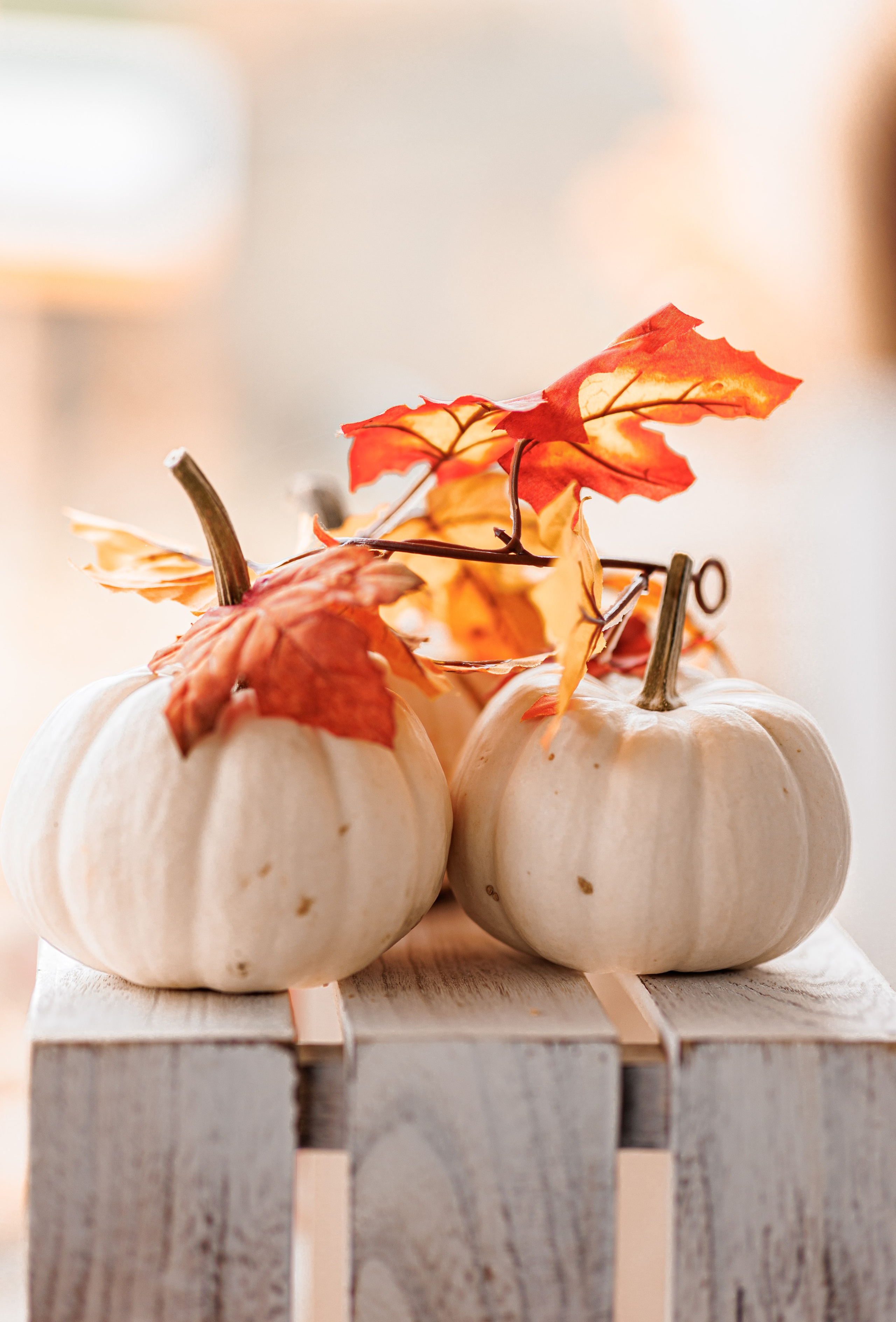 LANDHAUSE. Family Fotografer in München und Umgebung
