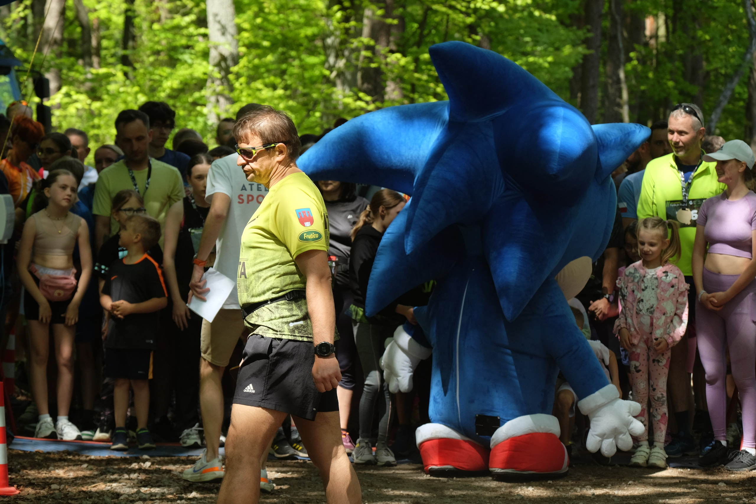 Aleksandryjska Piątka po lesie. Main