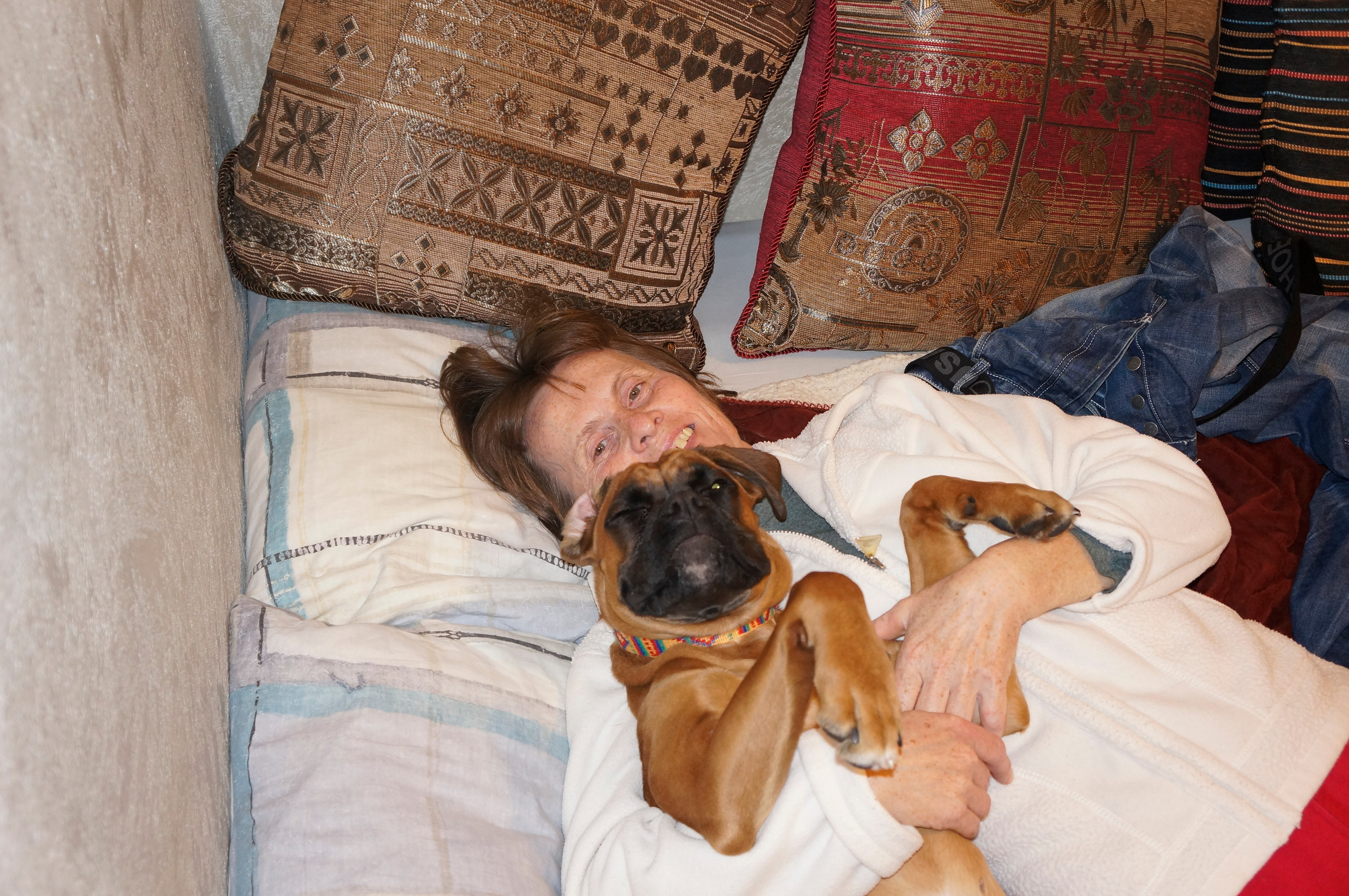 My ״Star״ Boxer Dog