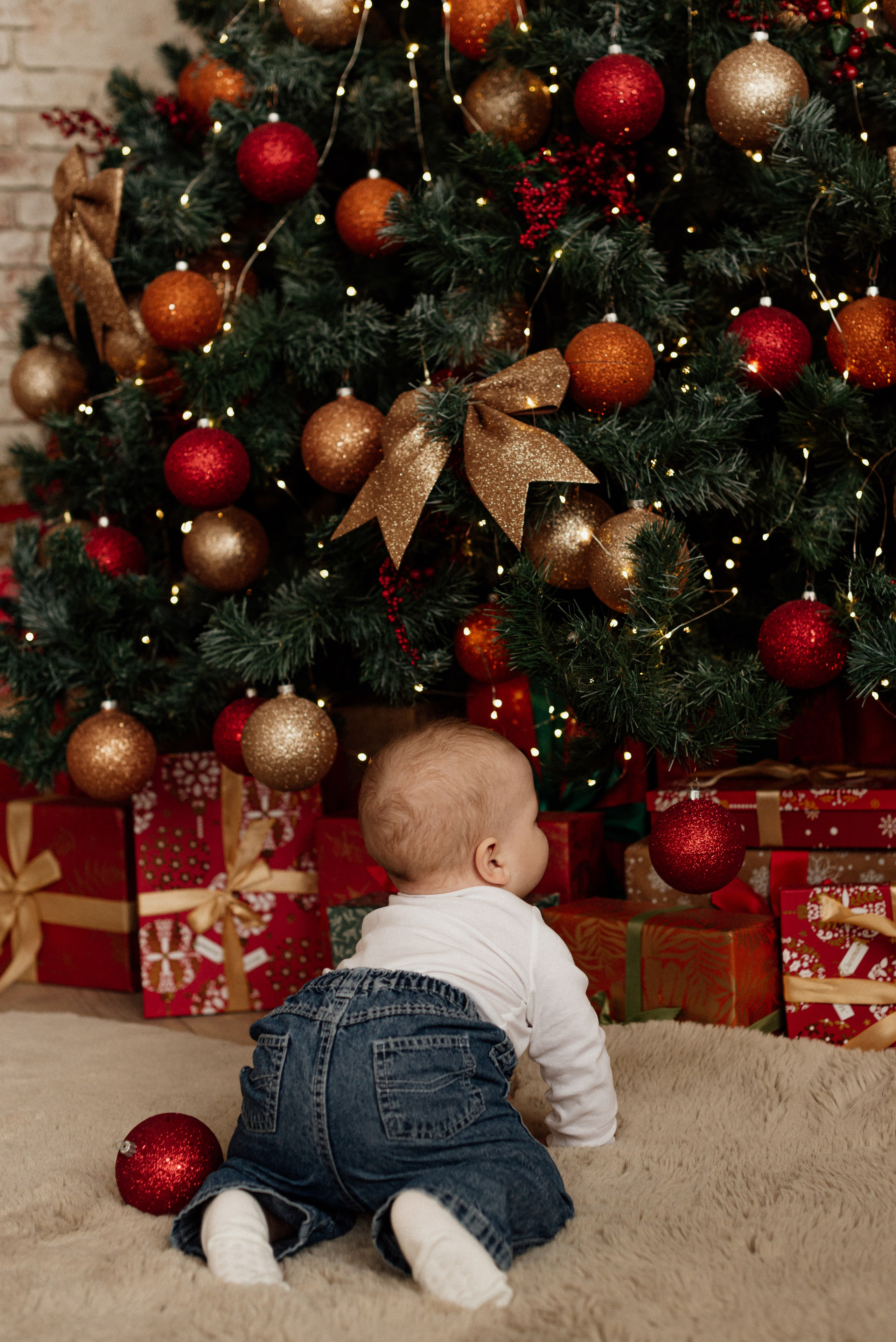 *. Wedding and family photographer San Diego