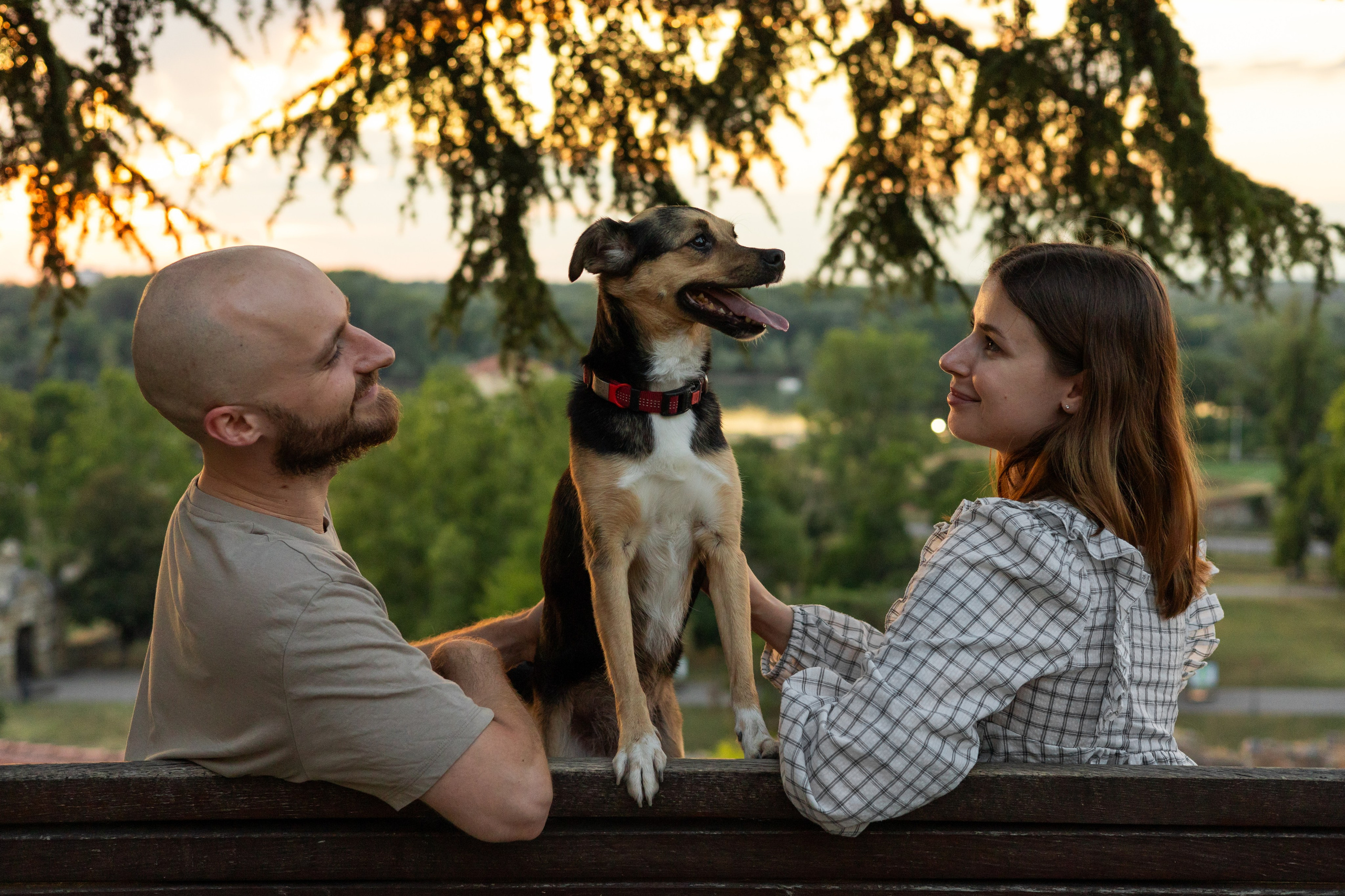 Настя, Денис и Мося. Фотограф-анималист | Белград