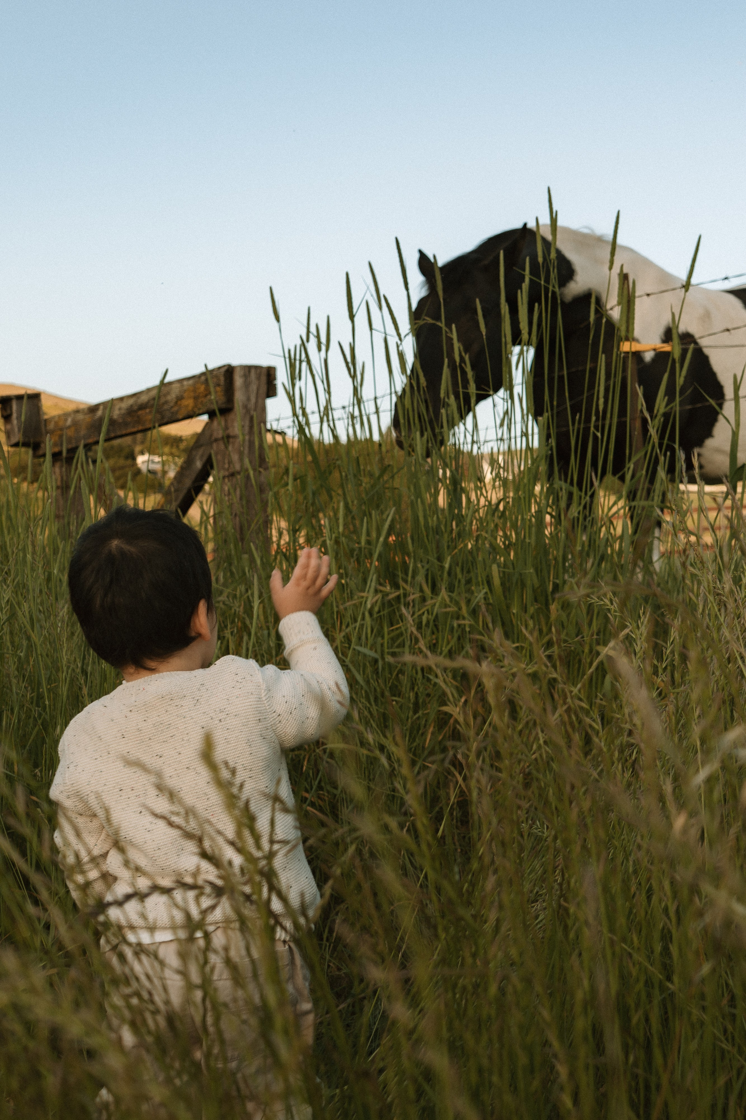Bay Area Family, Maternity & Newborn Photographer | Ainura Photography