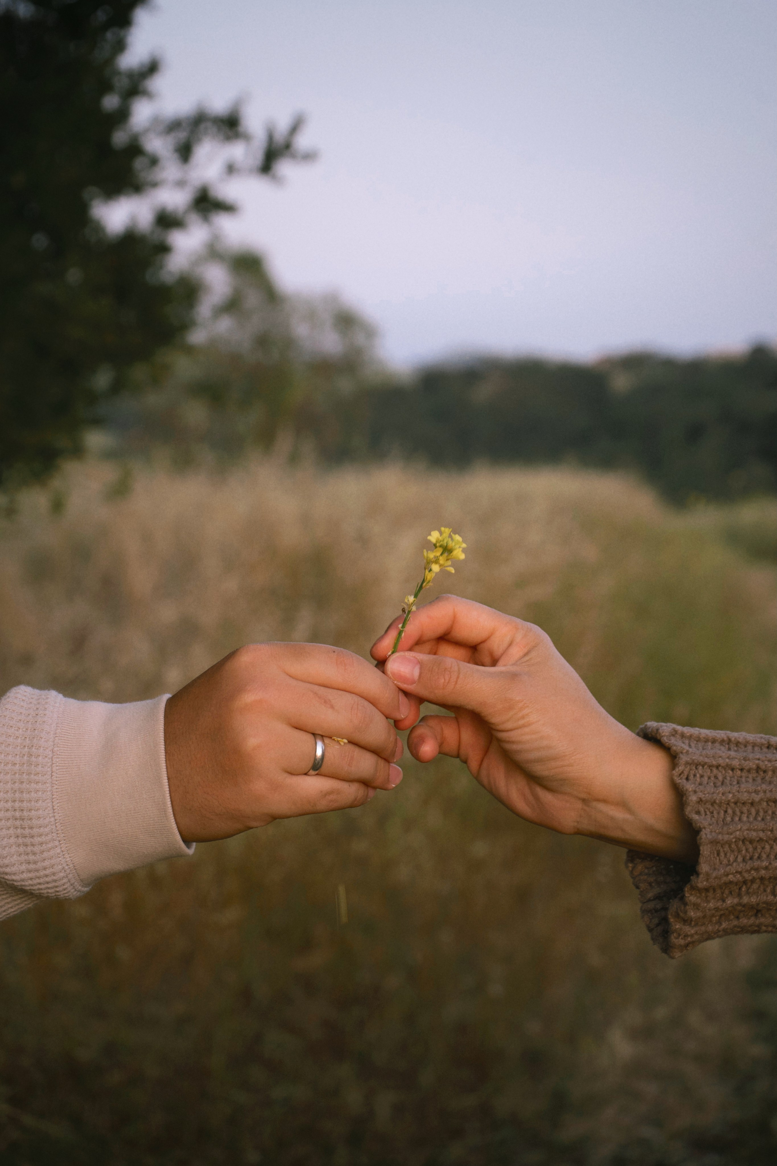 Bay Area Family, Maternity & Newborn Photographer | Ainura Photography