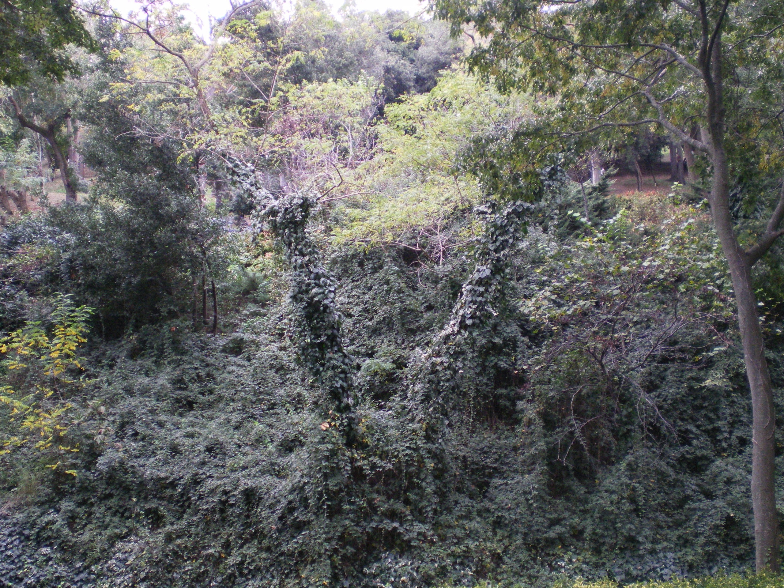 Ode to istanbul. Daria Sukhikh | Photography