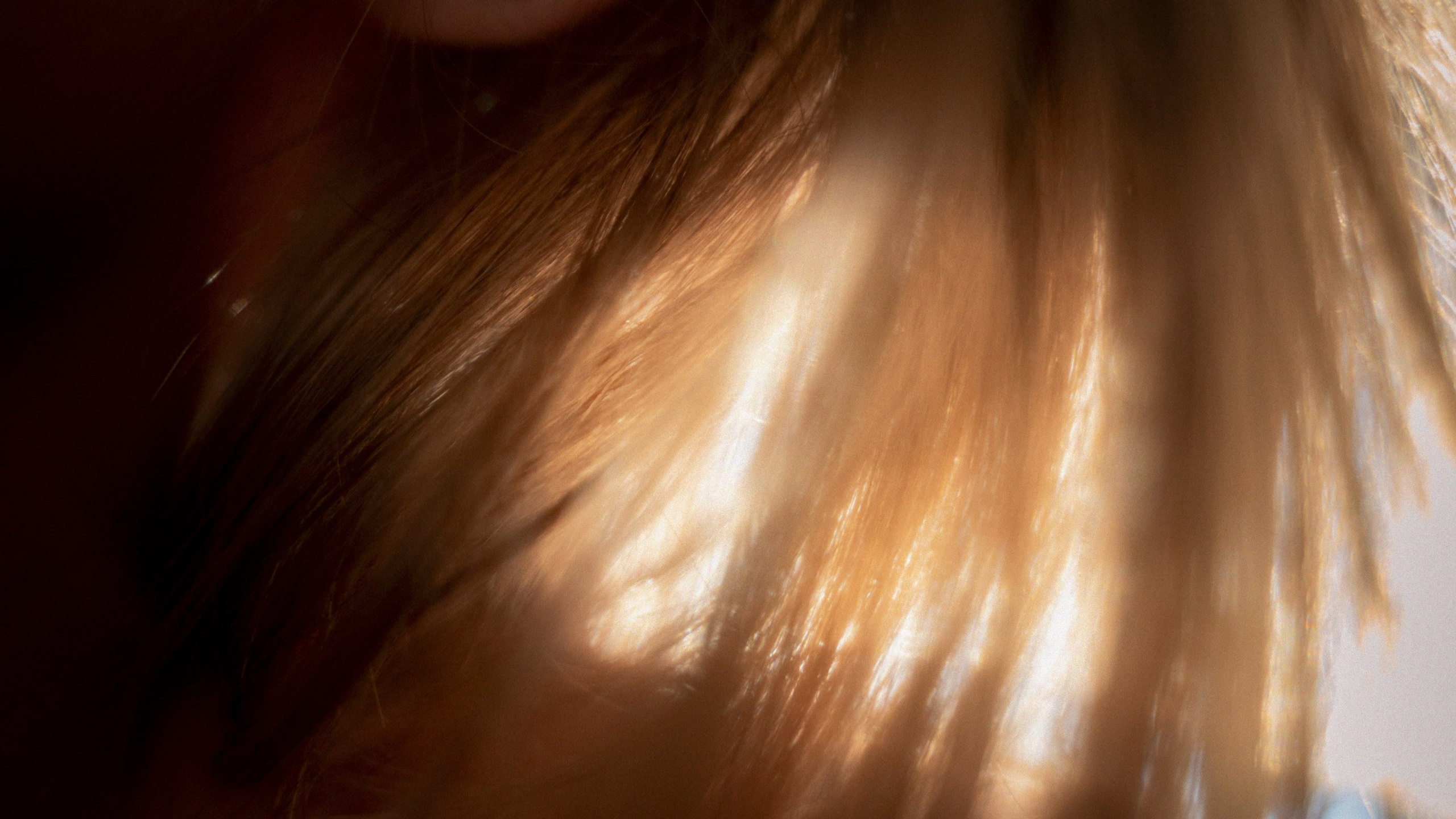 Sunset. Žukov Studio