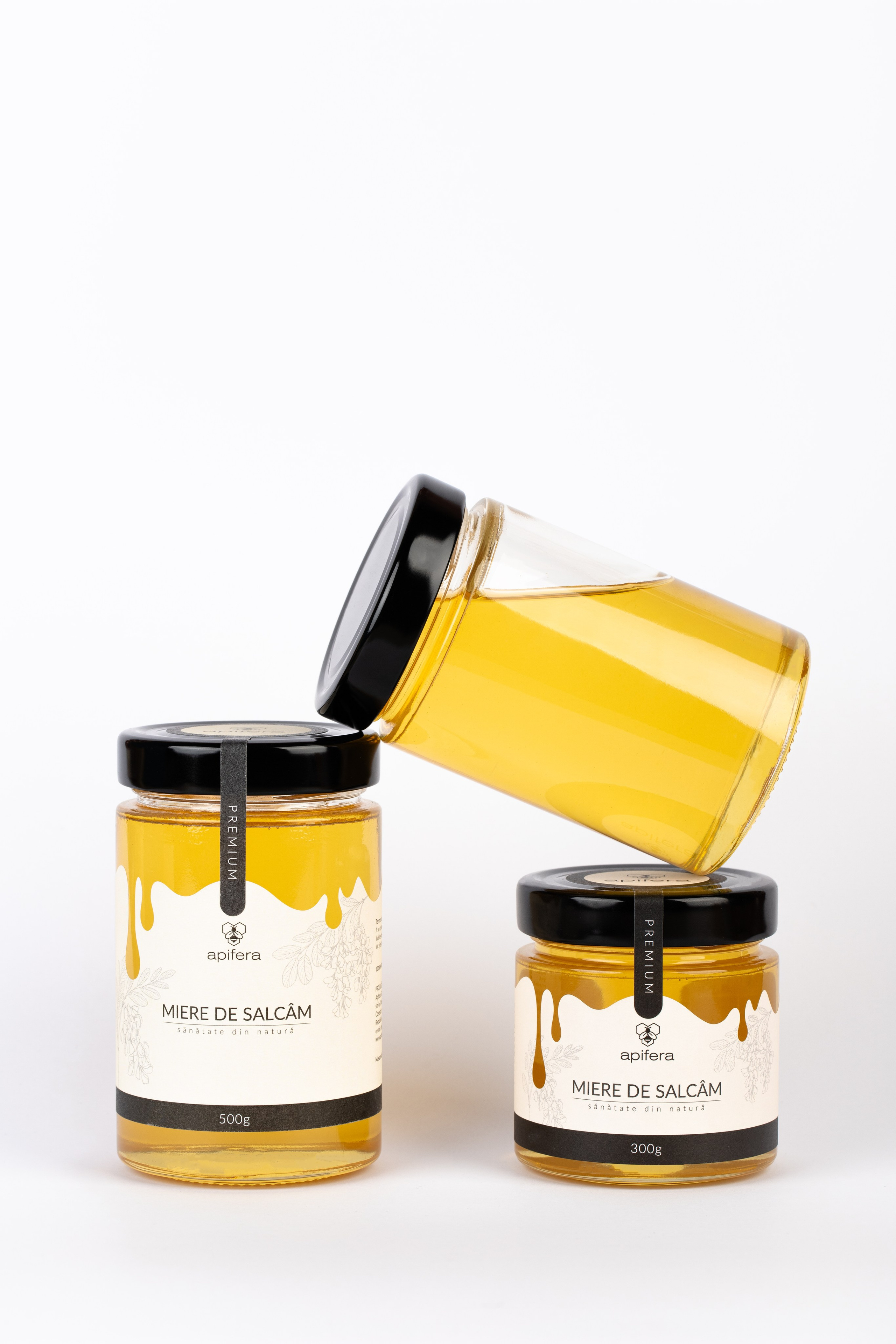 Catalog. Fotograf și Videograf | Chișinău, Moldova