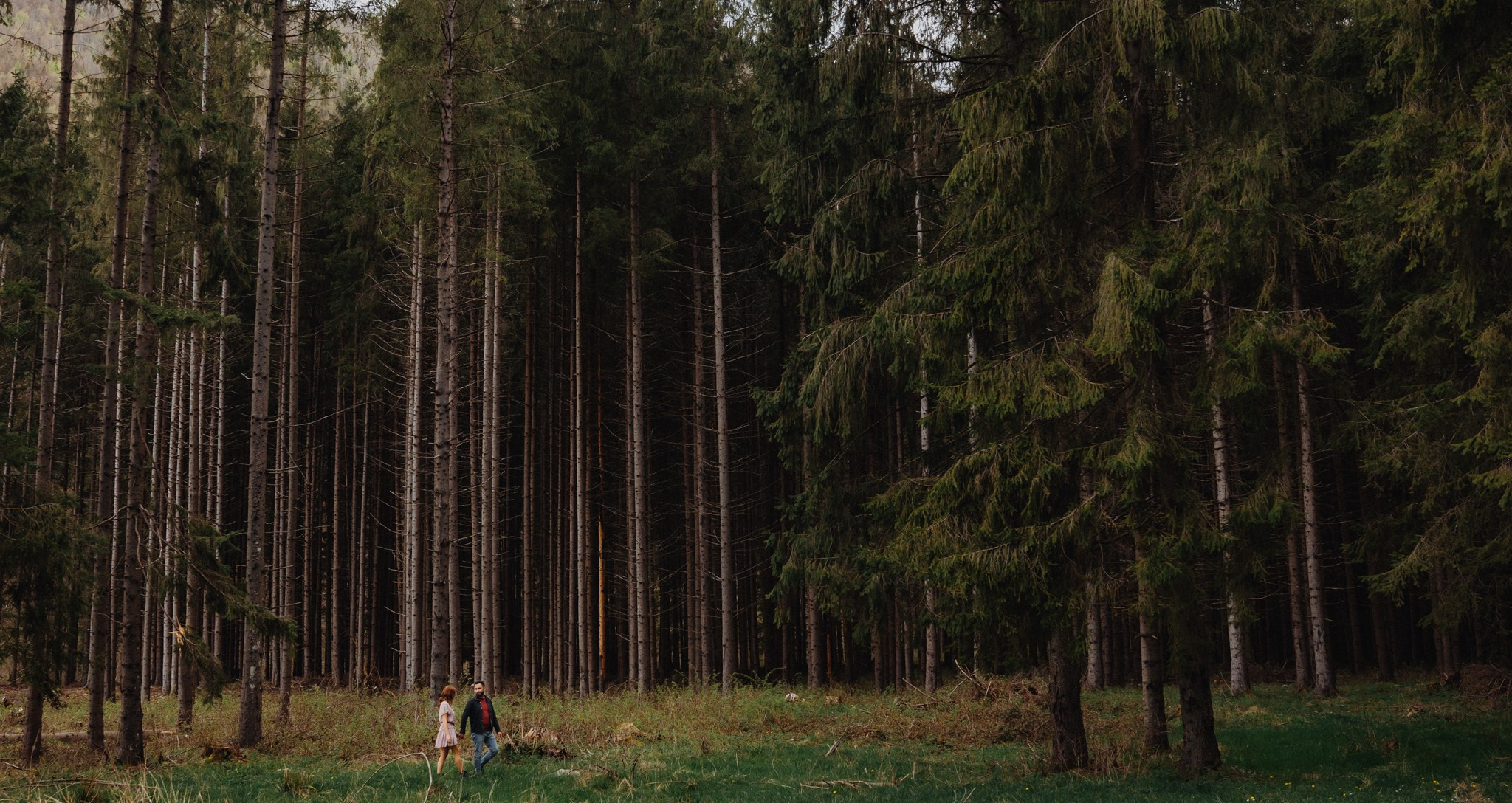 Save The Date — Monica & Danut | Polovragi