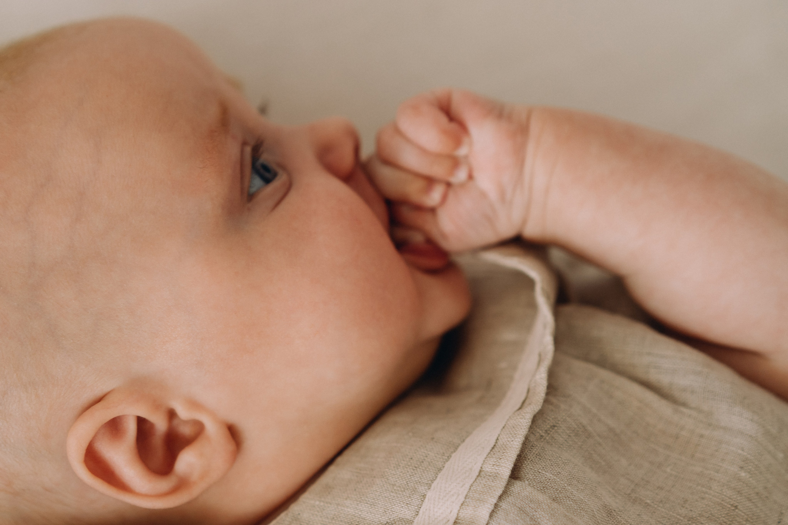Newborn Twins. Elena Pretzner Photography