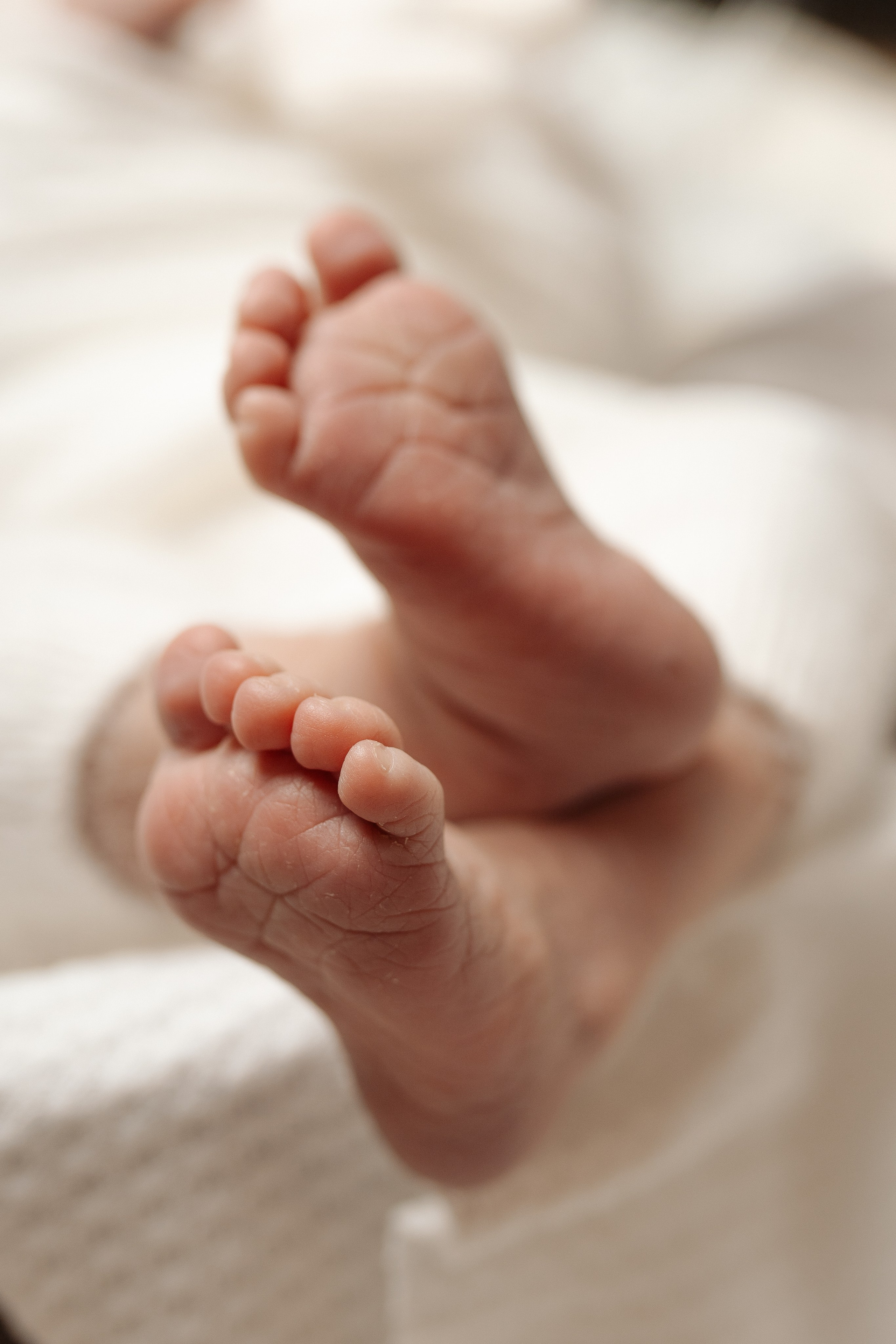 Newborn. Oksana Ganbina Photography