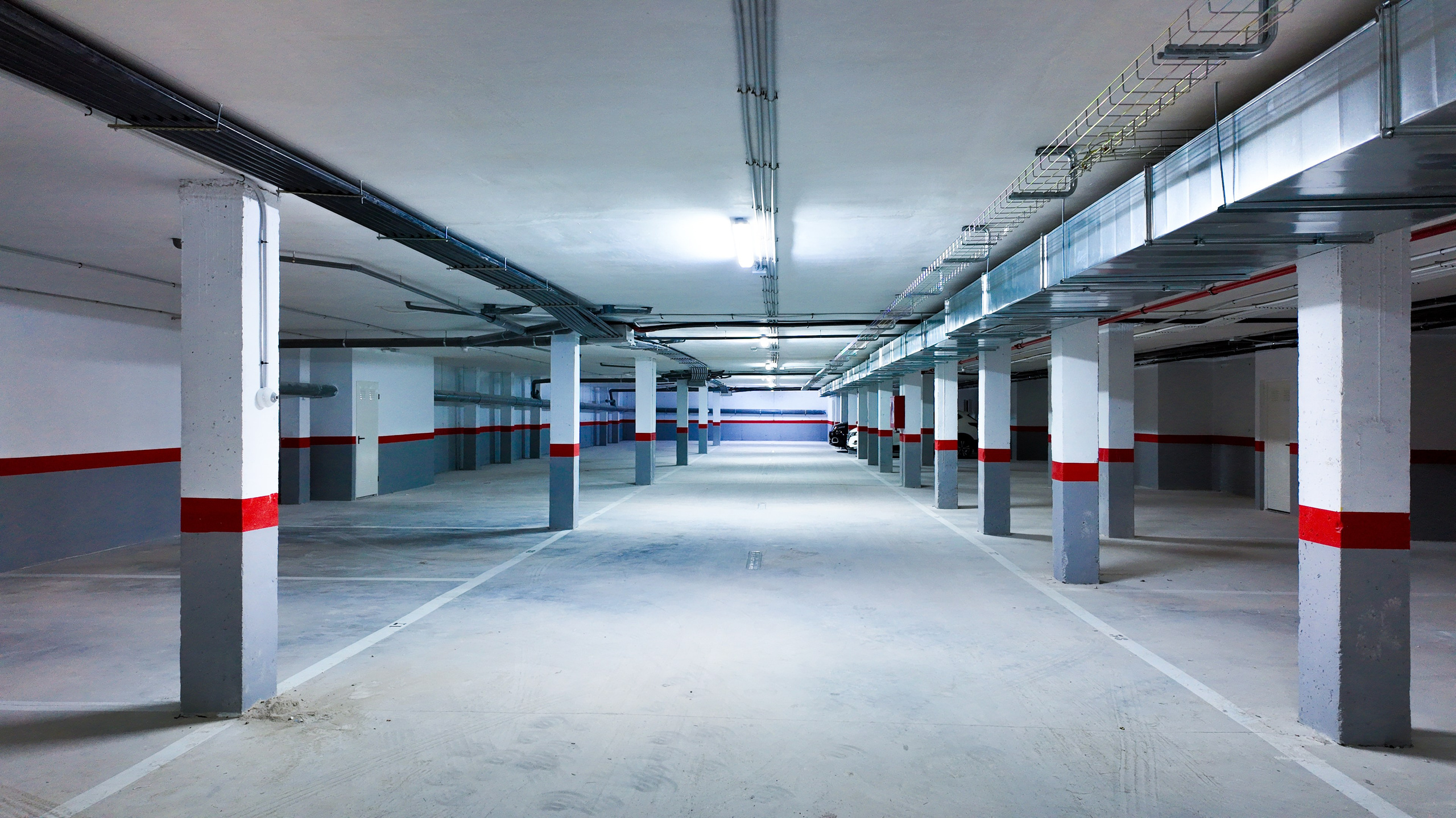 PALMVIEW I&M GROUP. Baby Beast