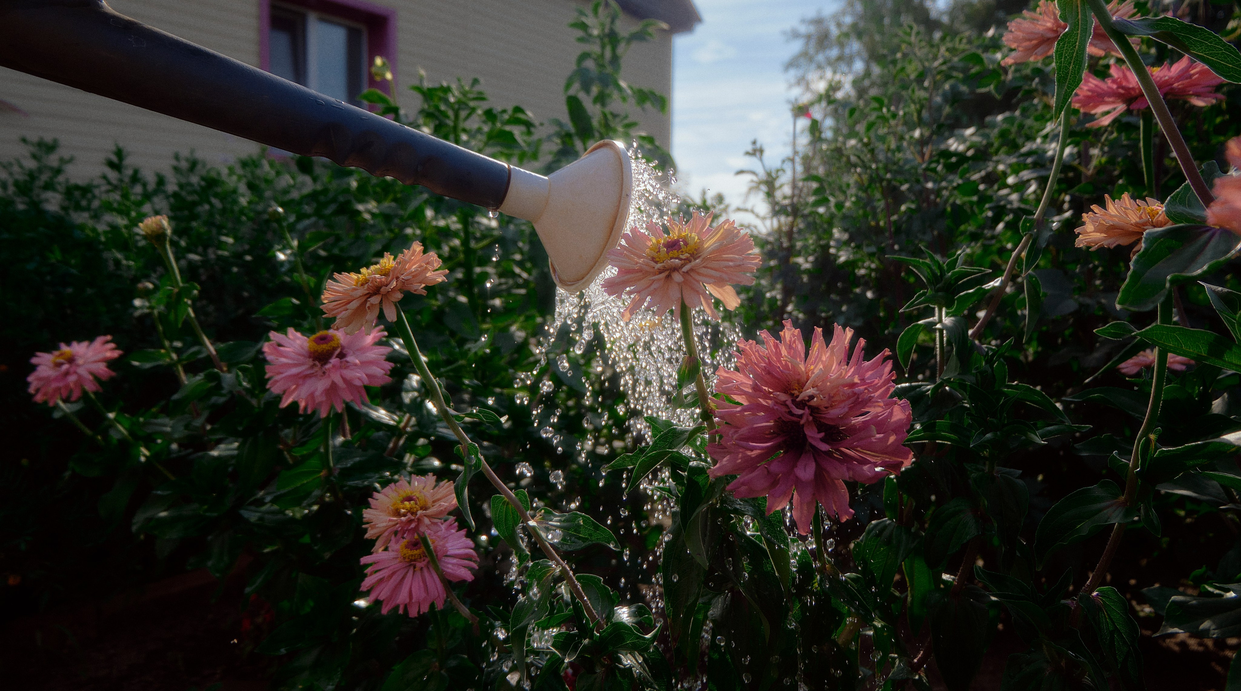 Ksenia. Портретный и репортажный фотограф в Бишкеке Анастасия Якимова