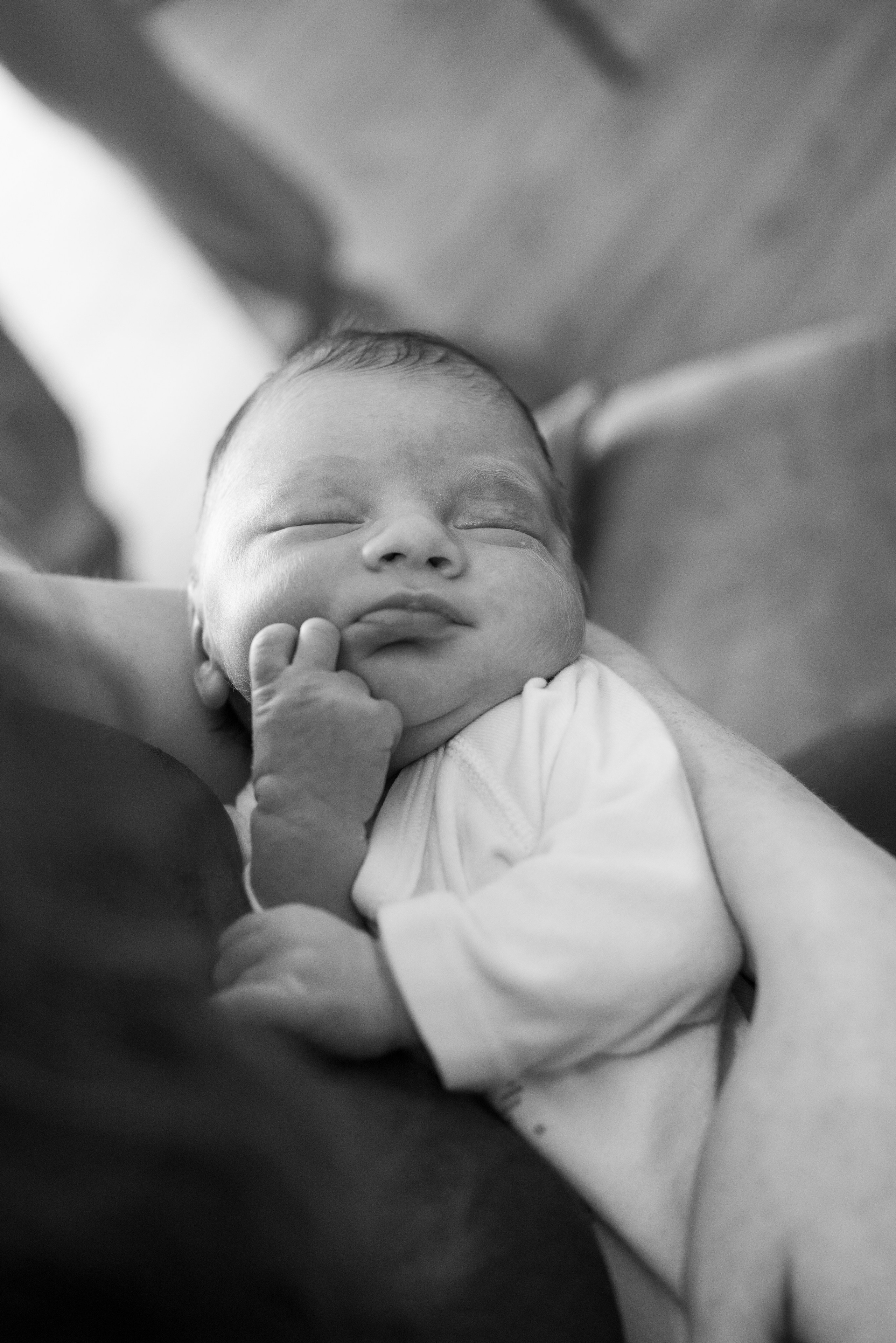 Семья Ильи и Мелани. Визуальный брендинг