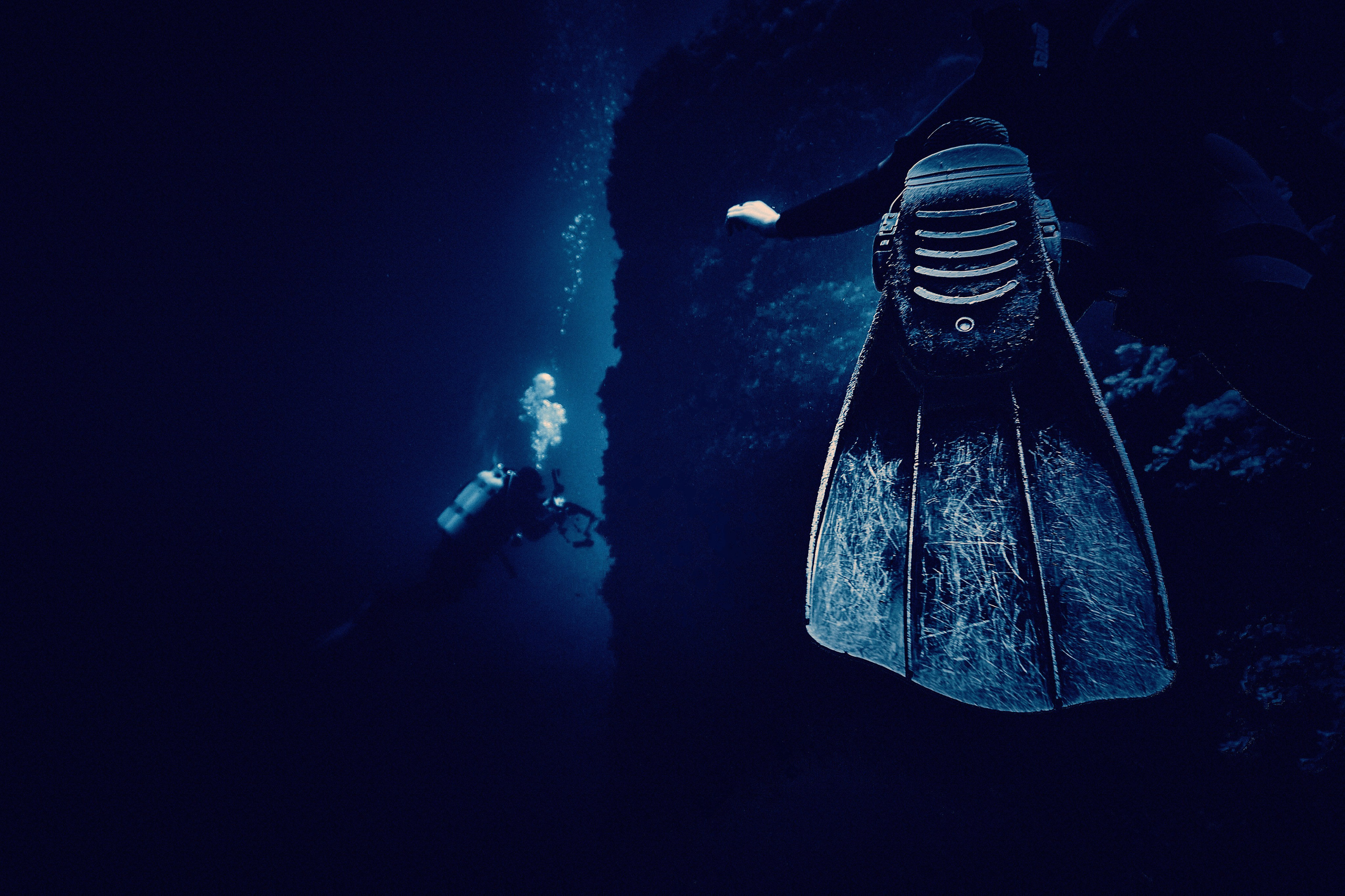 Fotograf podwodny Andriej Szypiłow. Андрей Шипилов — Фотография & Видеография