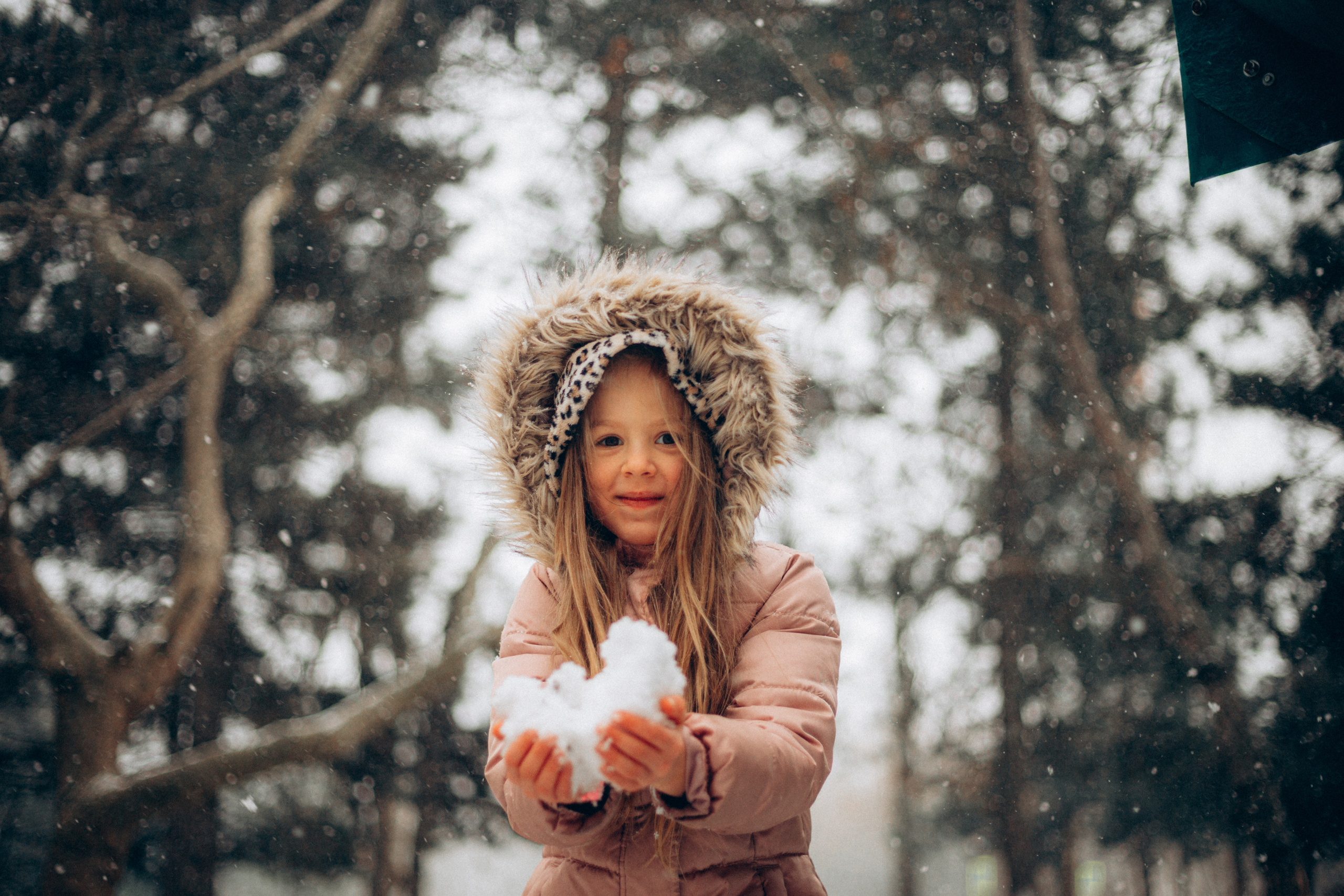 Первый снег 2021