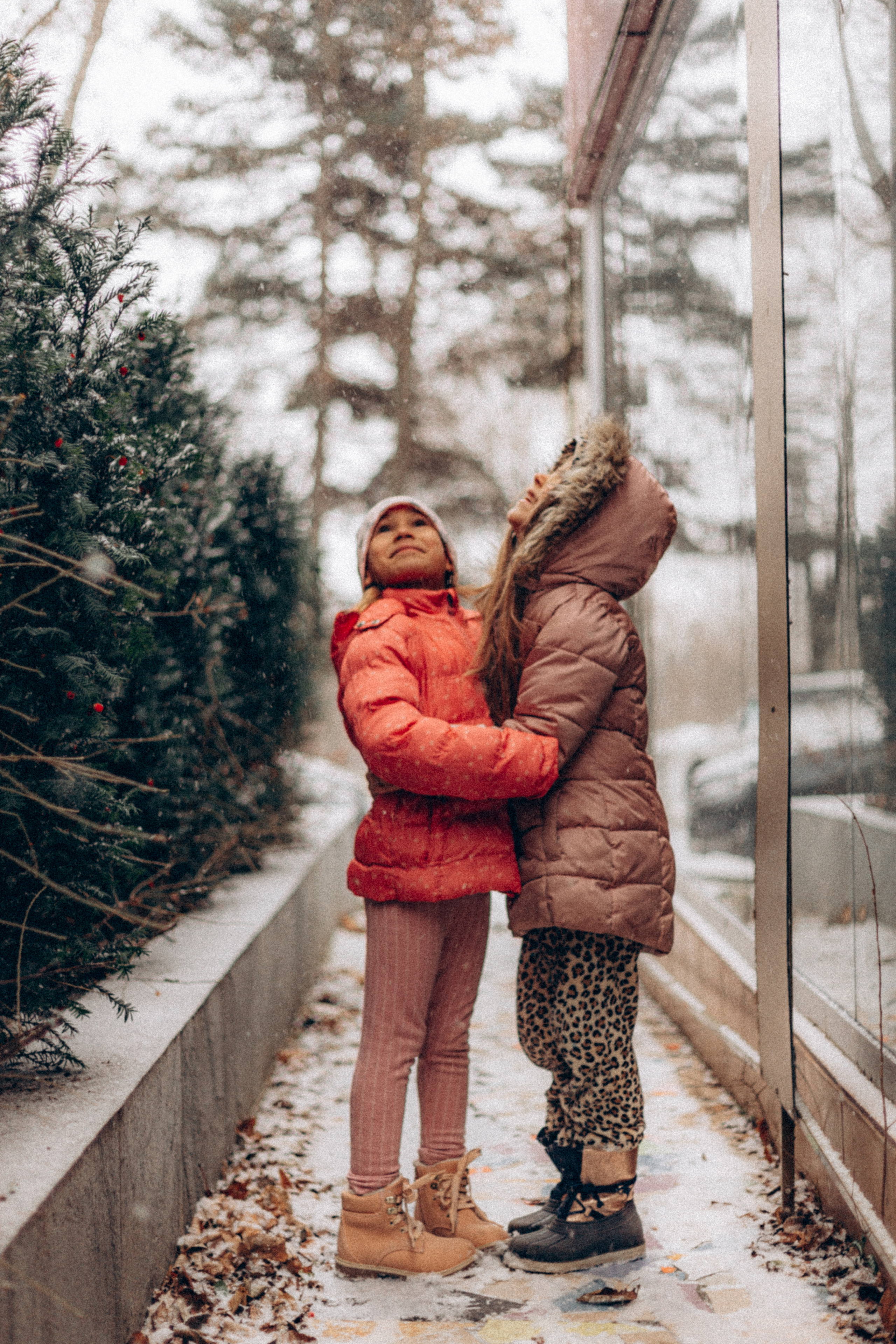 Первый снег 2021