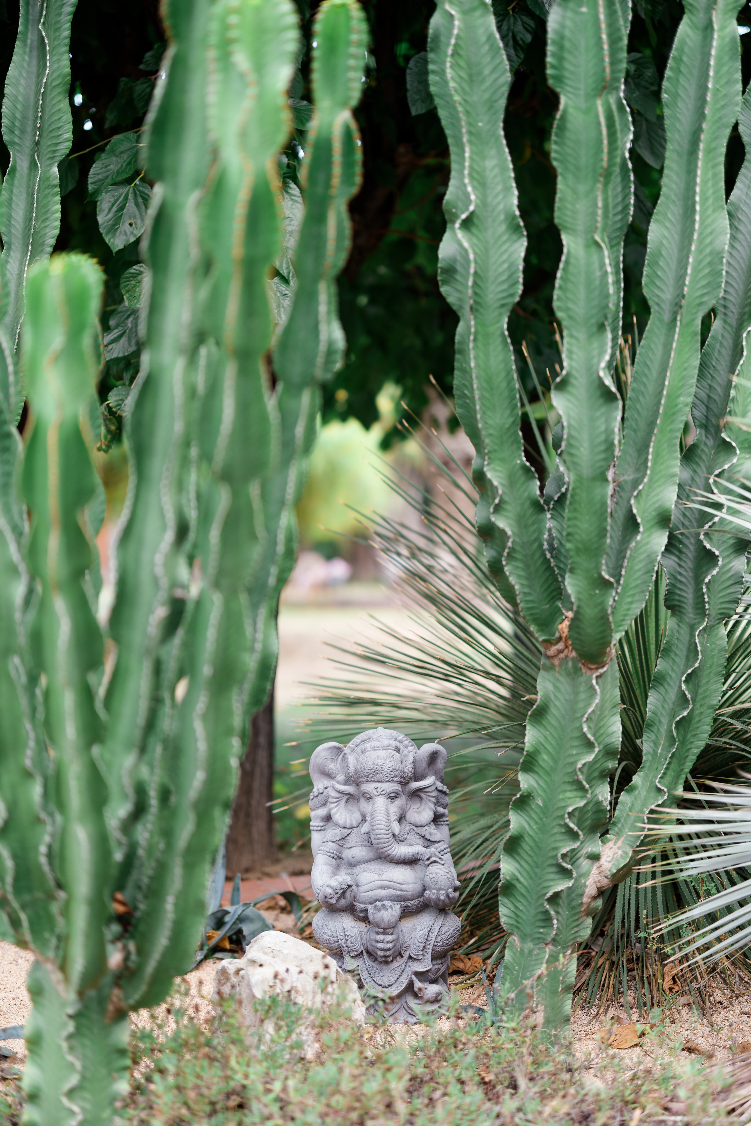 Indian wedding at Gran Villa Rosa, Barcelona