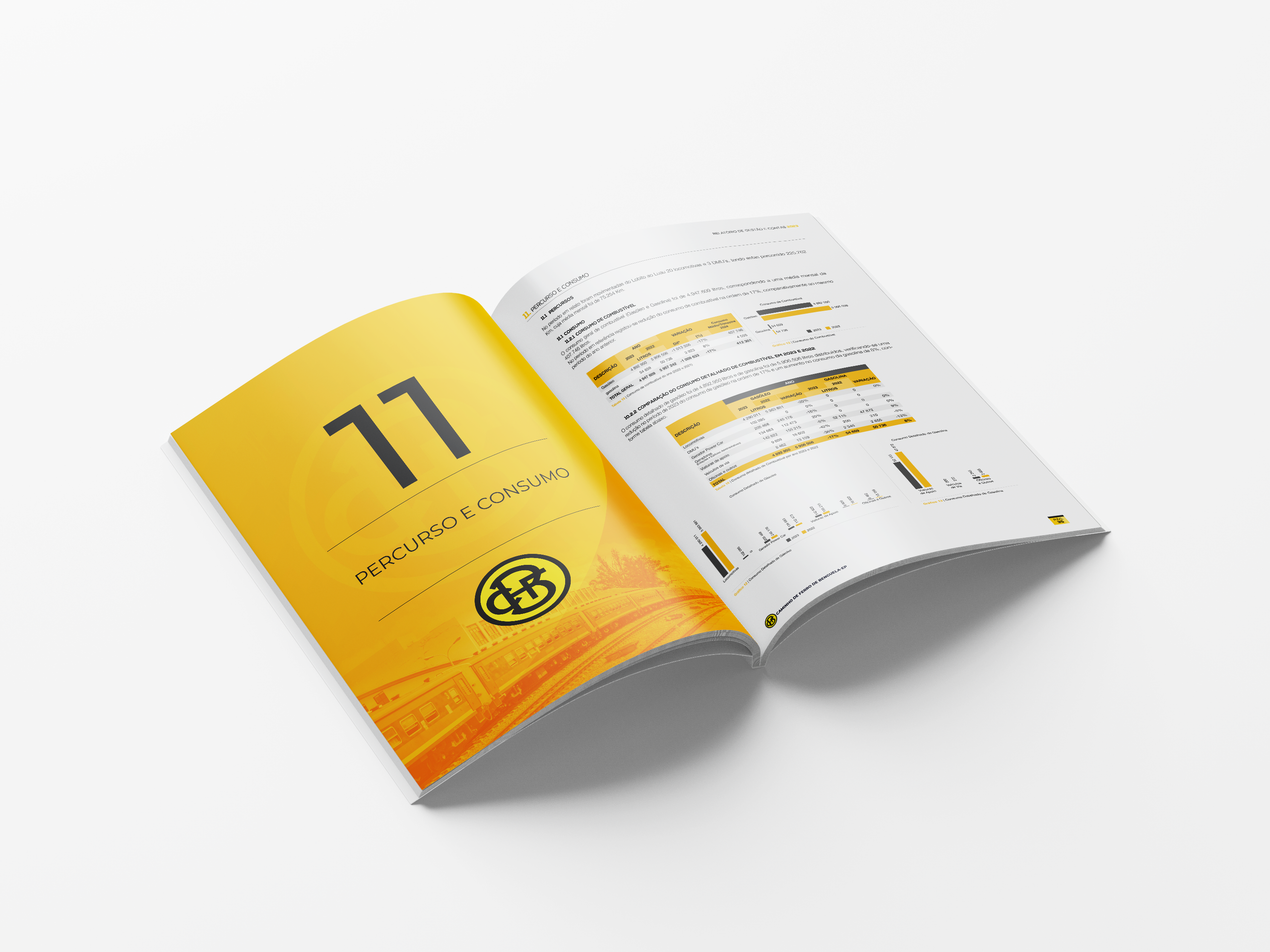 Relatório de Gestão e Contas — CFB