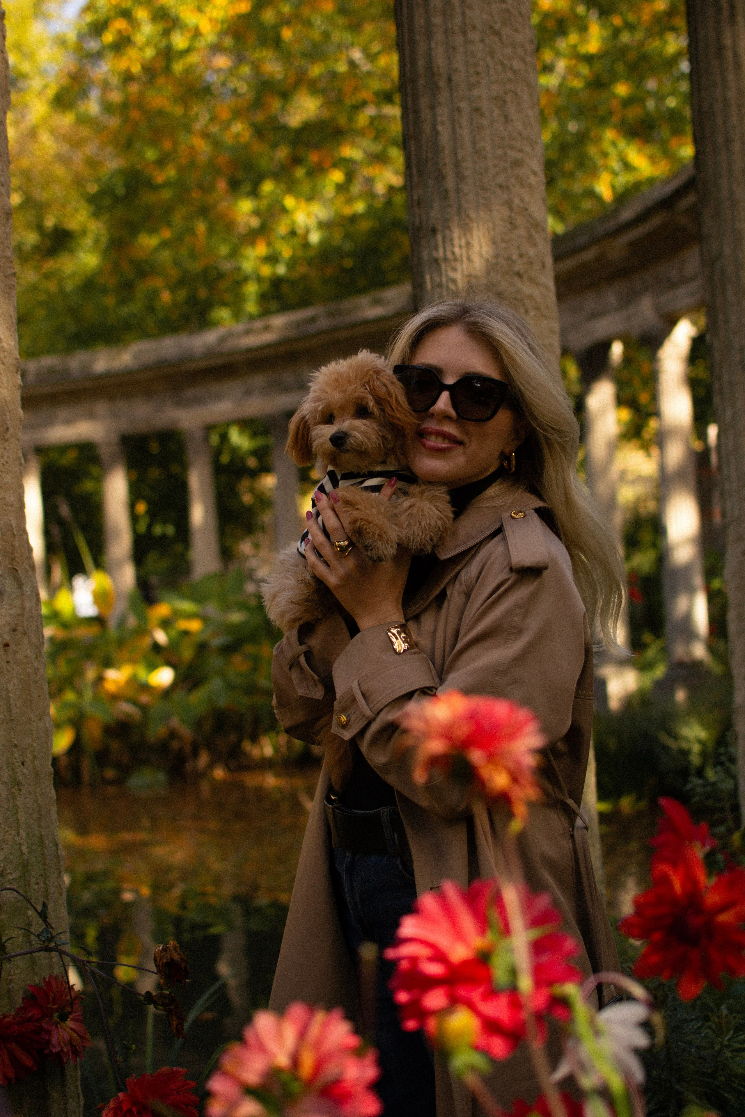 Barney, Nastya et Kolya. Photographe animalier à Paris Anna Pereira