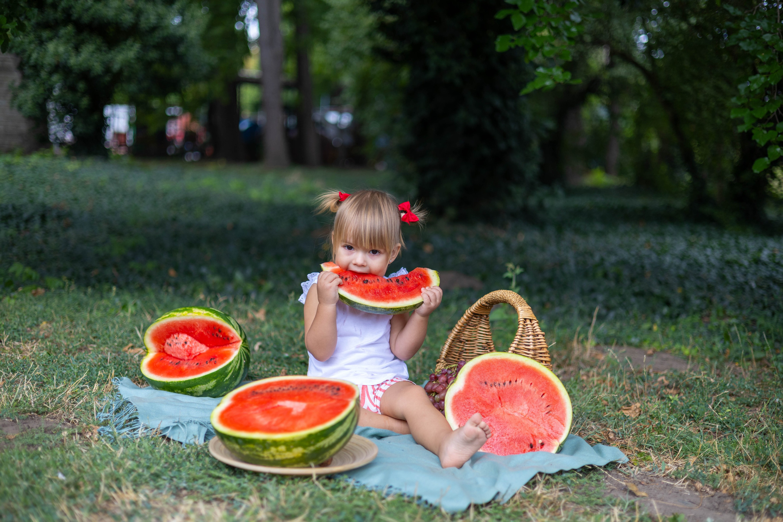 "Летняя фотосессия девочки с арбузом в парке Молдовы"