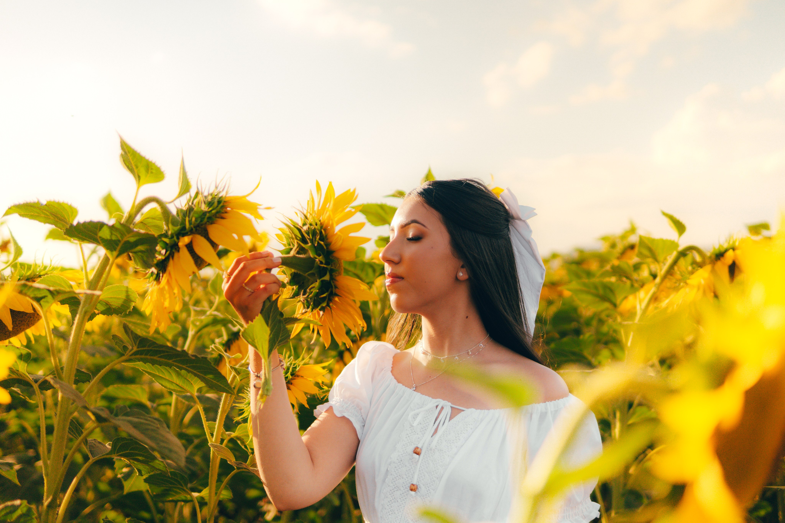 Debutante. Reference Visuals