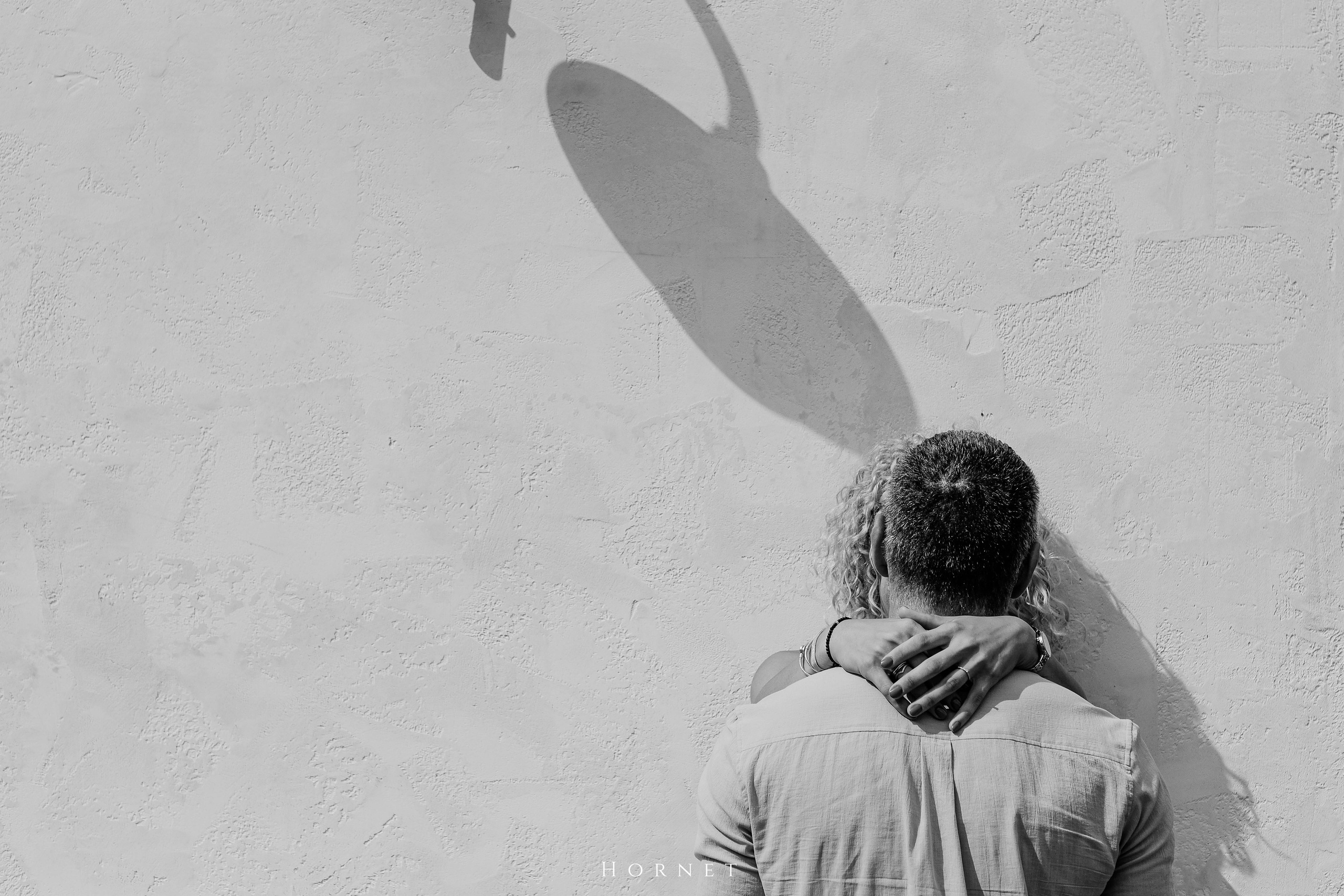 Logodna/Engagement. Hornetart