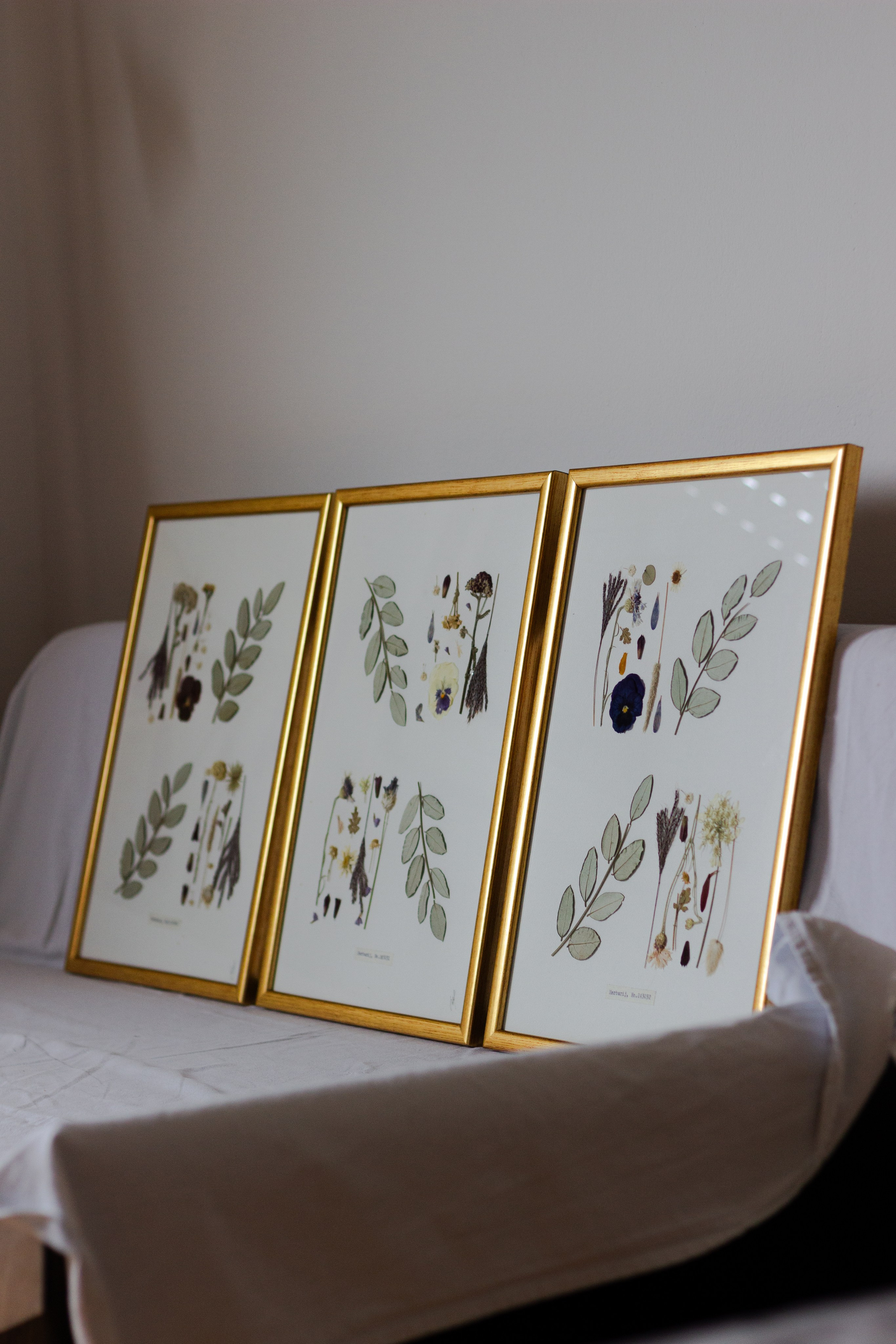 Radovi po narudžbi. Herbarij studio