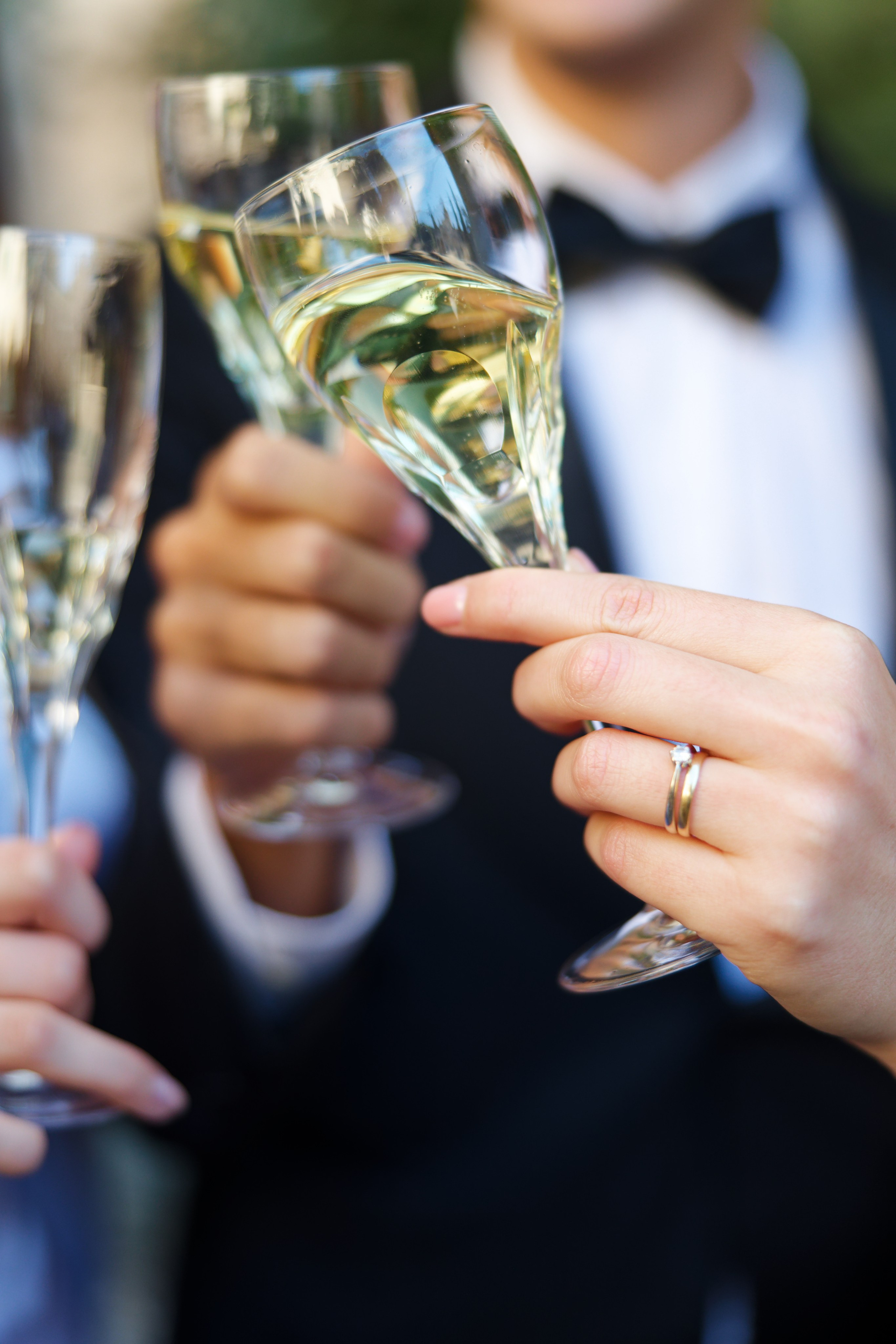 Wedding at Villa Arvedi, Verona, Italy