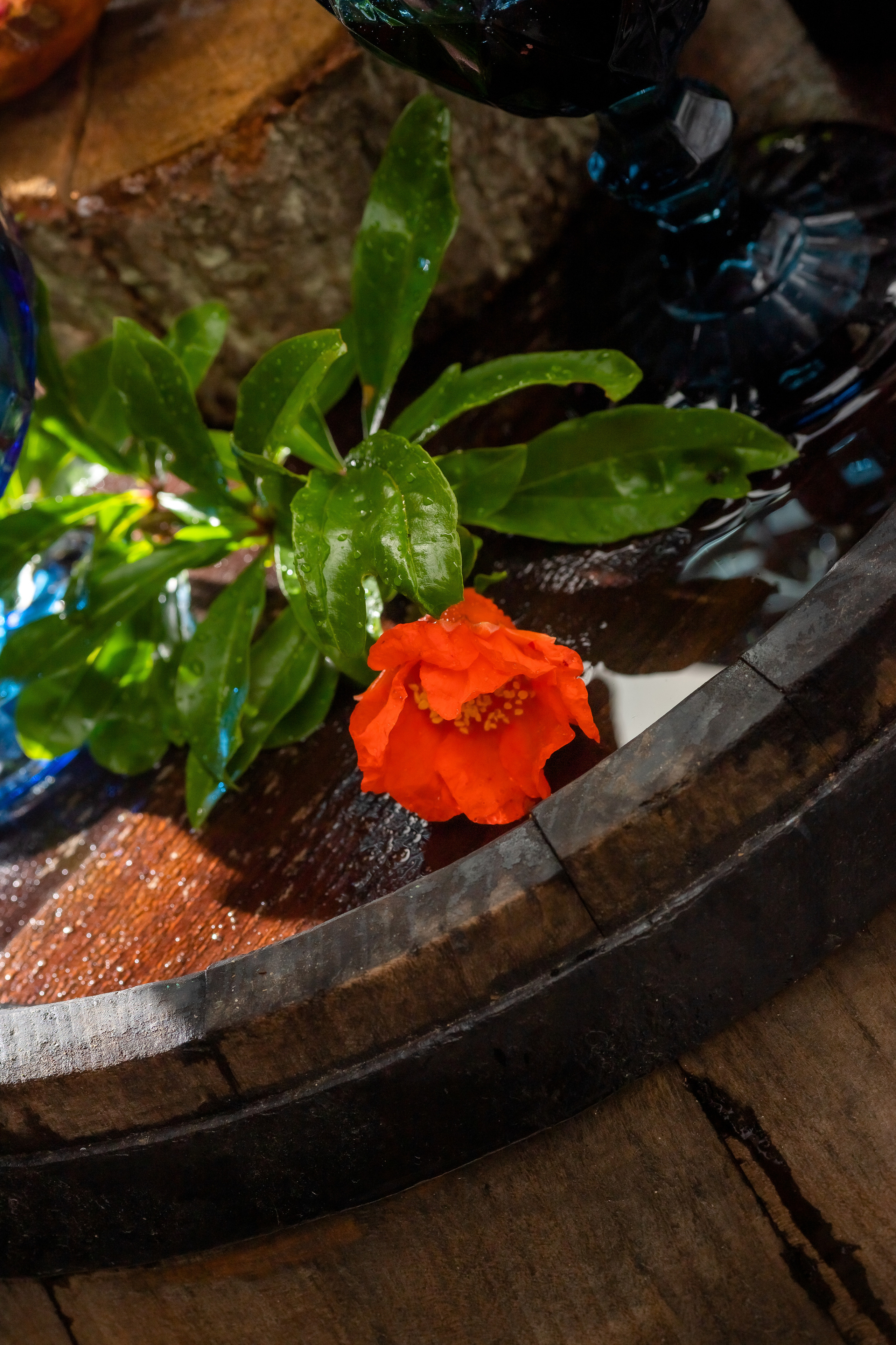 Продуктова Фотография. Фотограф Ирина Йотова