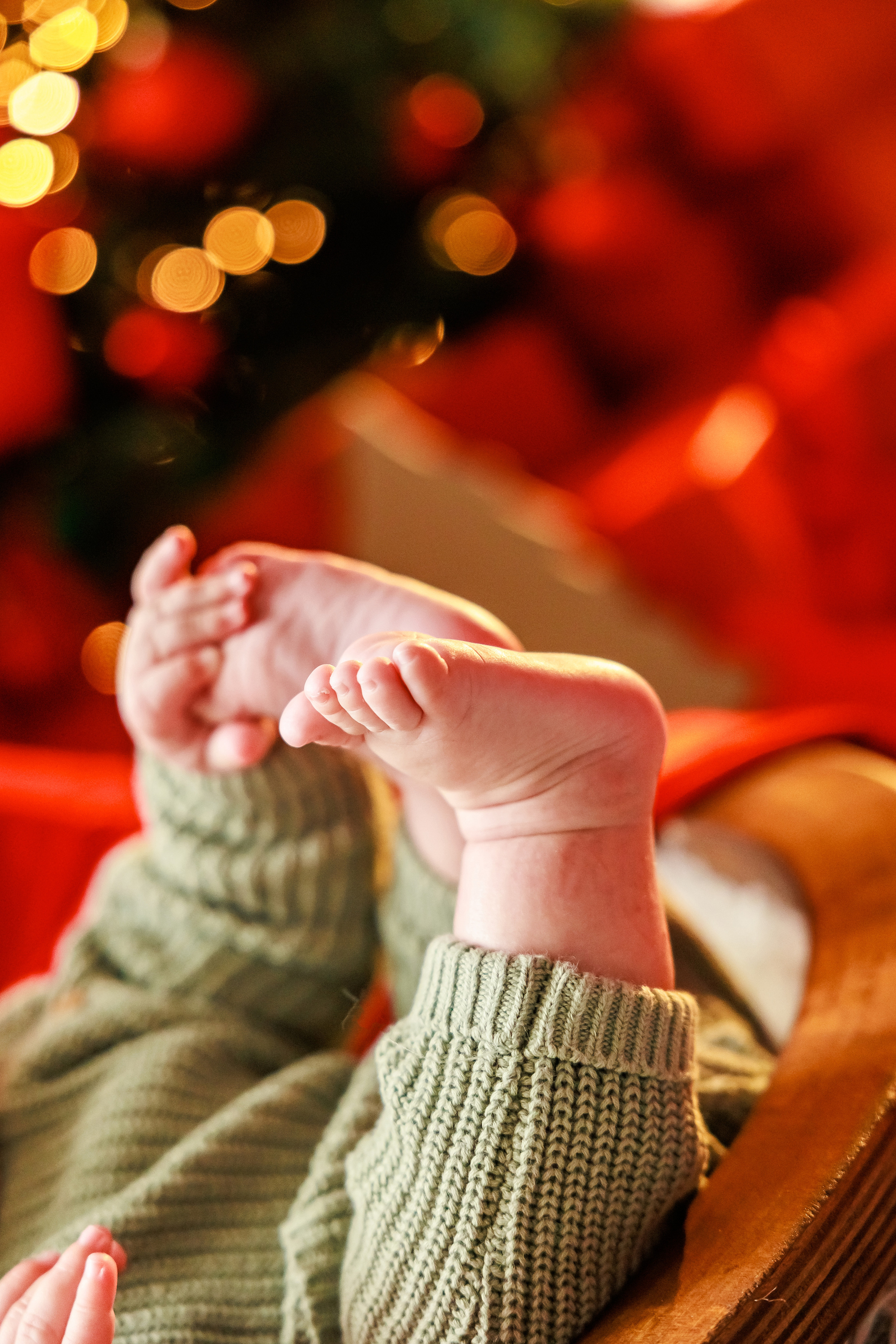 Коледа 2023. Фотограф Ирина Йотова