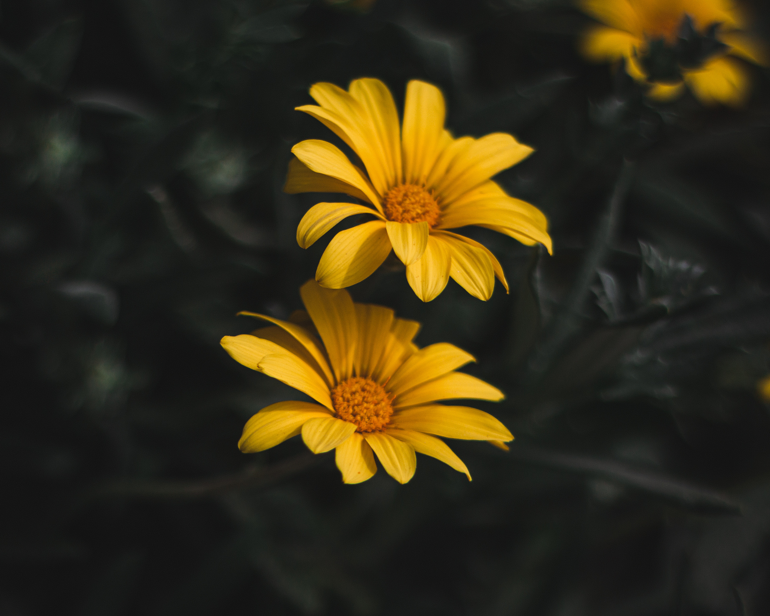 Yinon: Объектная съёмка. Yinon Mitin — Фотограф в Израиле