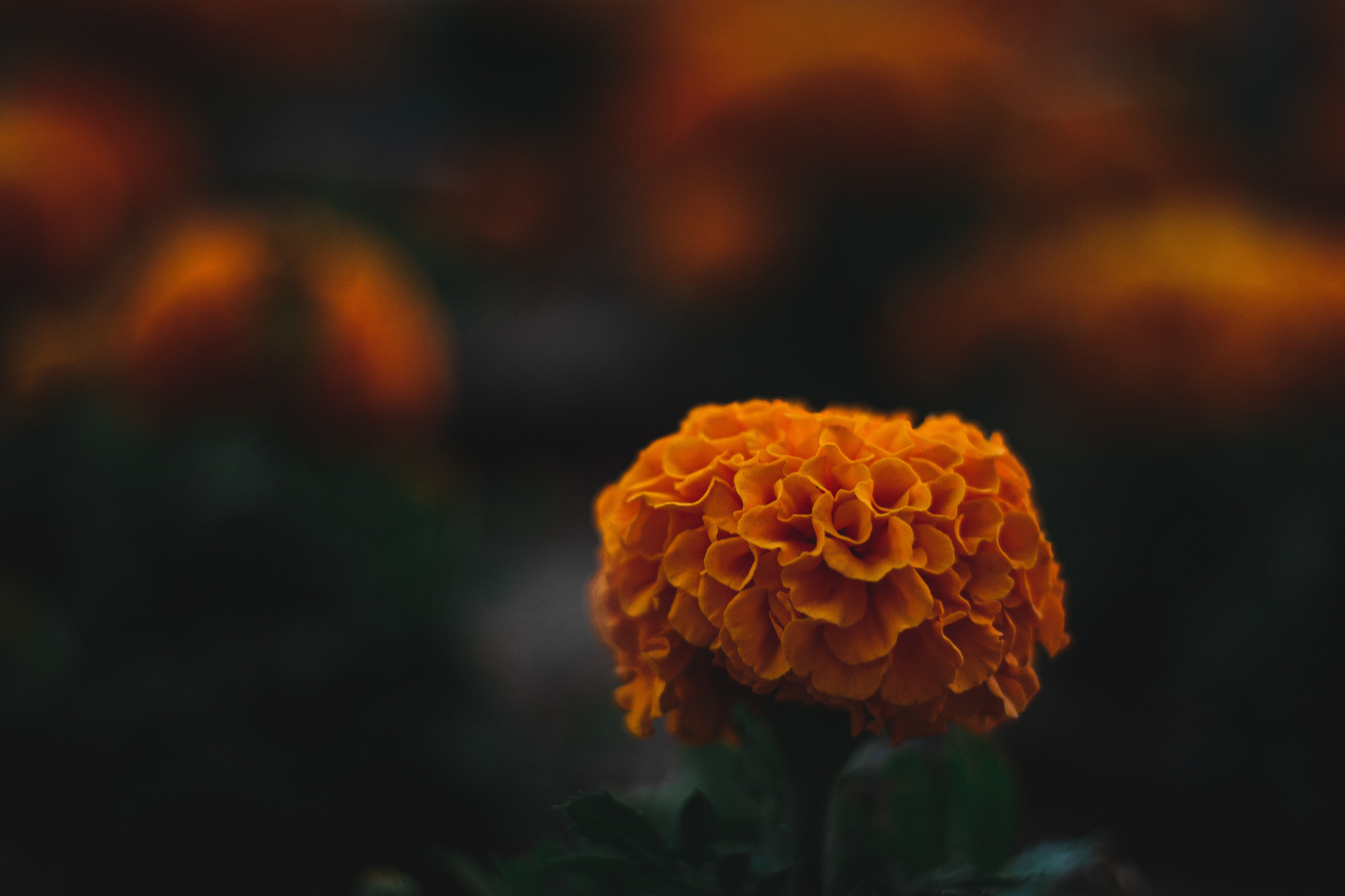 Yinon: Объектная съёмка. Yinon Mitin — Фотограф в Израиле