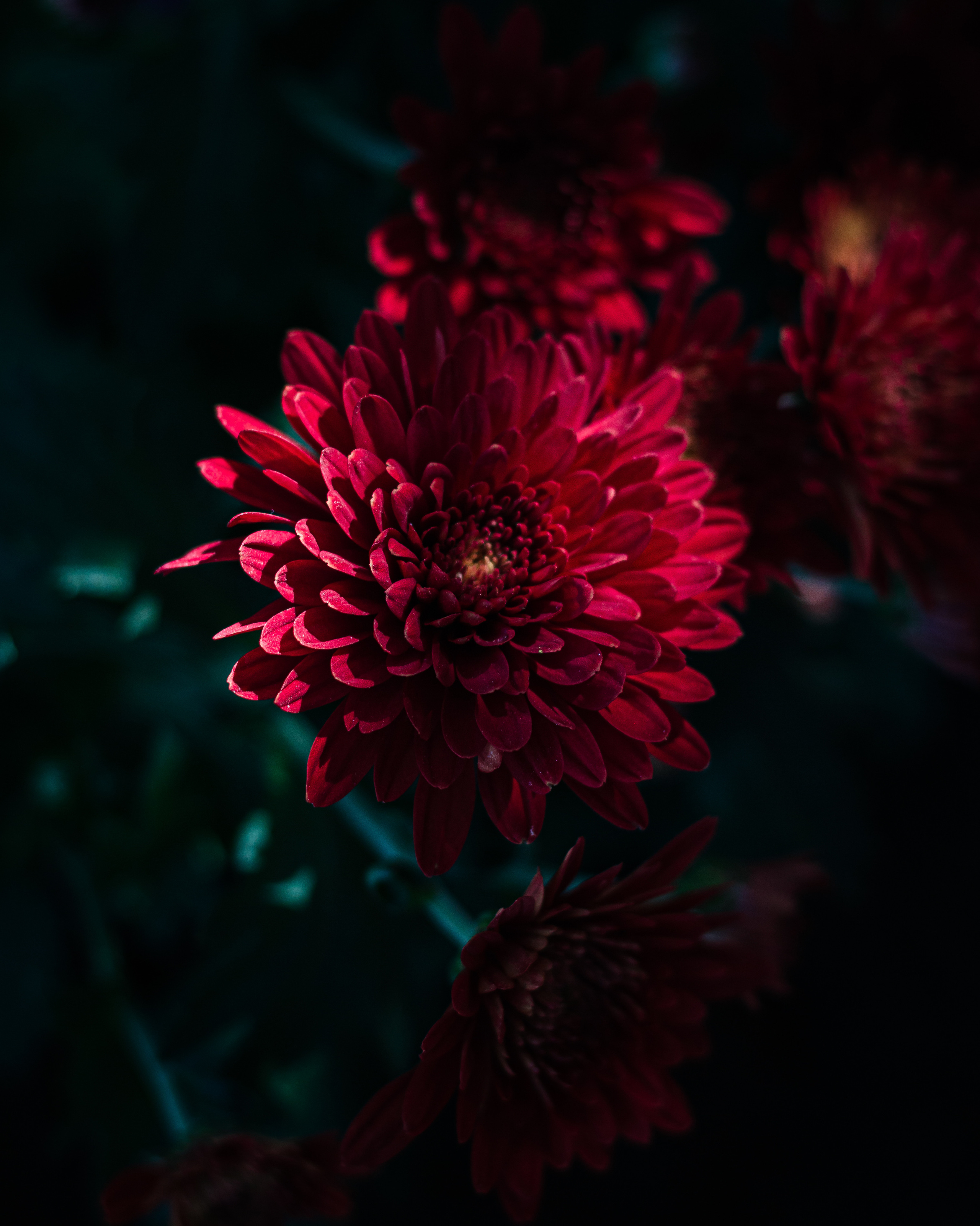 Yinon: Объектная съёмка. Yinon Mitin — Фотограф в Израиле