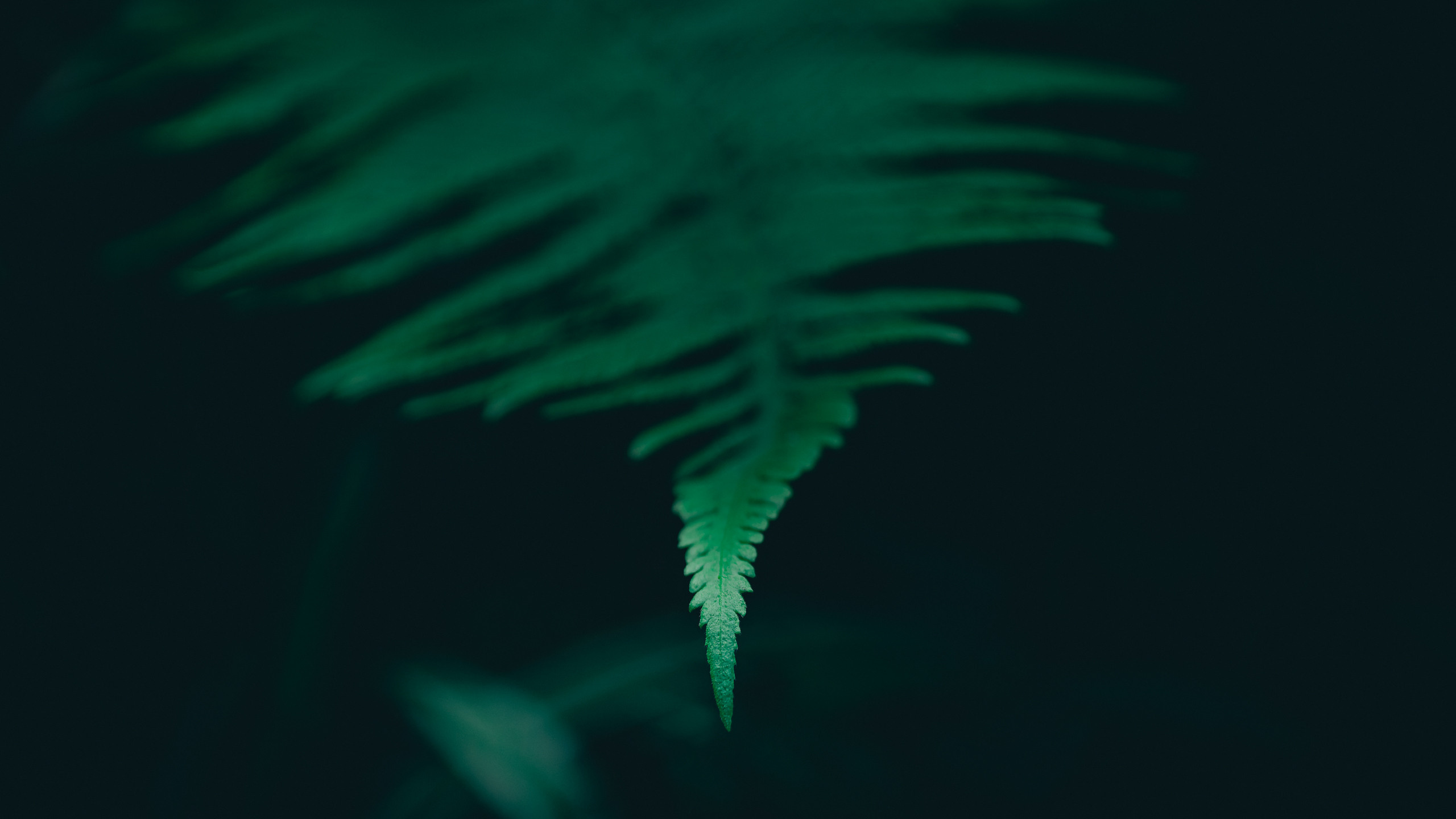 Yinon: Объектная съёмка. Yinon Mitin — Фотограф в Израиле