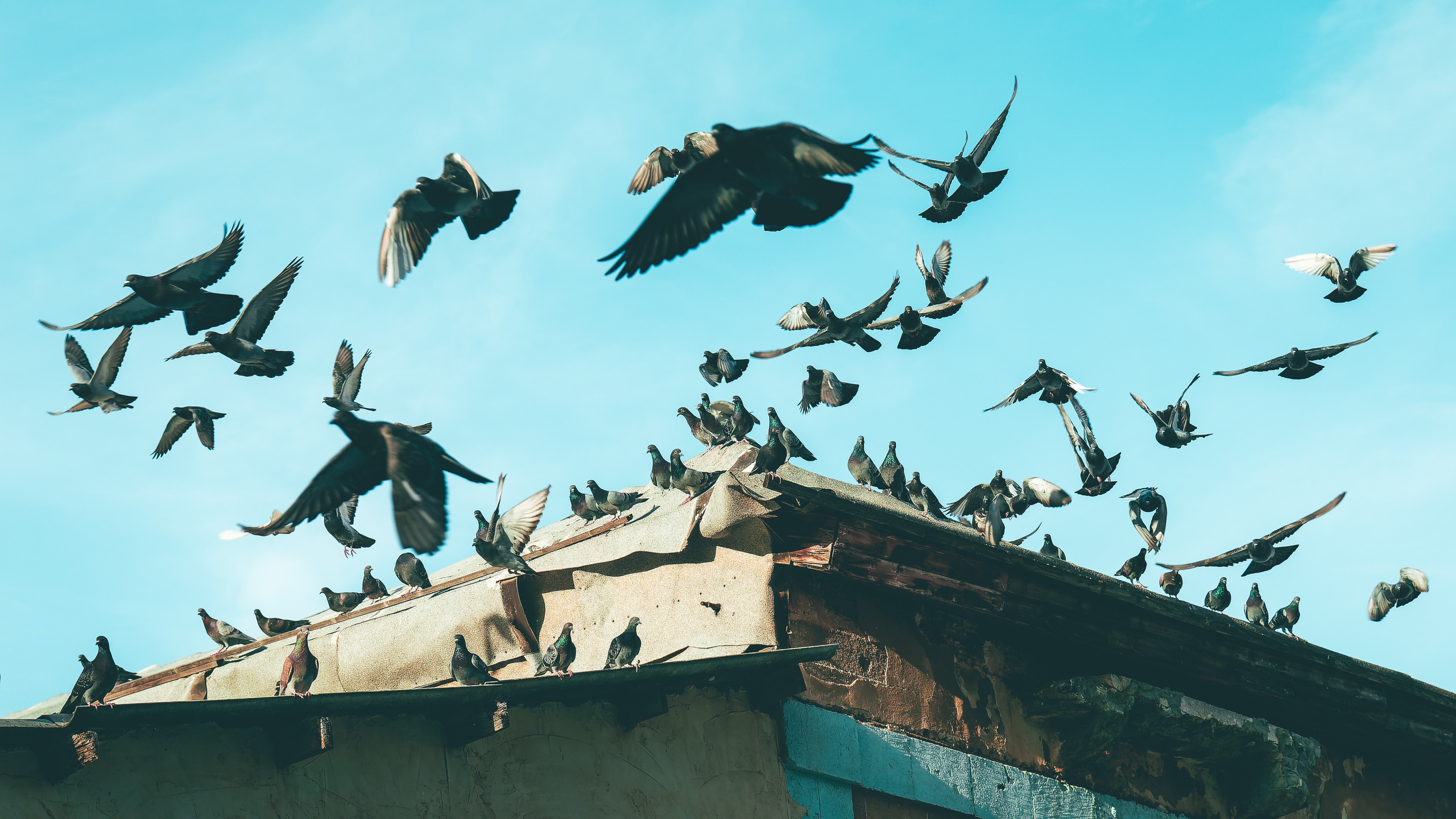 Yinon: Урбан фотография. Yinon Mitin — Фотограф в Израиле