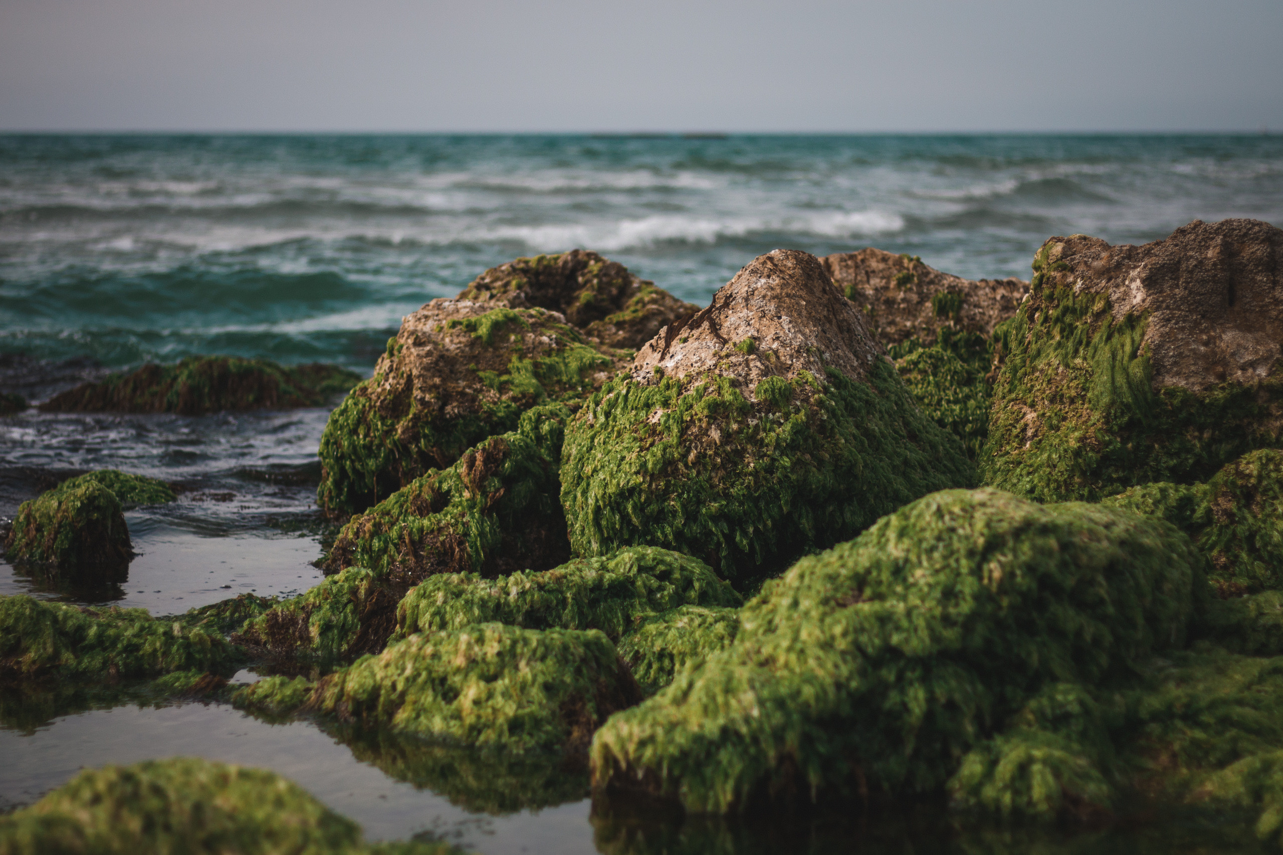 Yinon: Обои. Yinon Mitin — Фотограф в Израиле