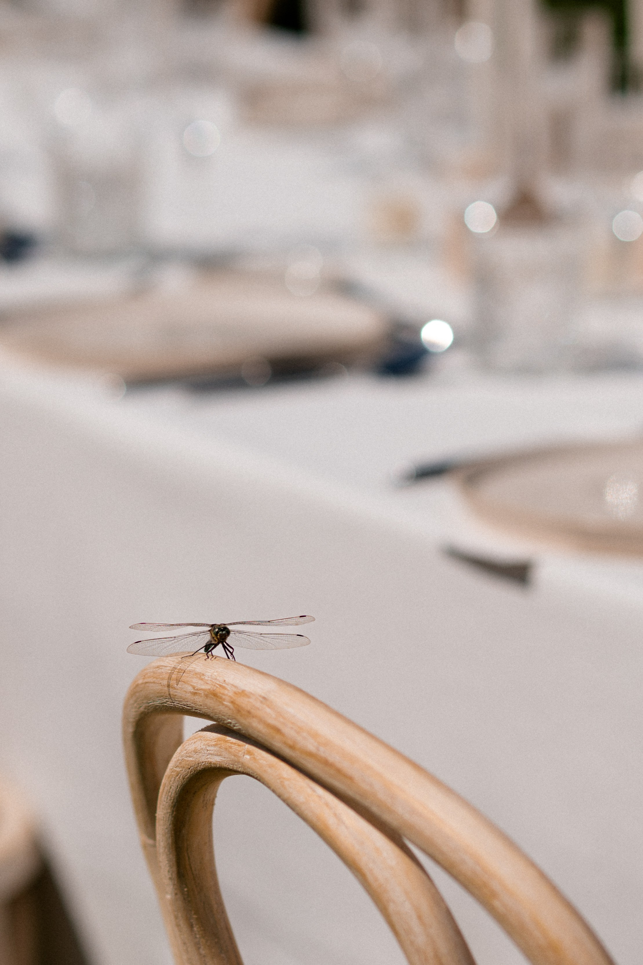 Emily & Endy’s wedding photo shoot in Mallorca. Destination Wedding photographer Italy, France, Germany, Spain, Poland Oleg Zaicev