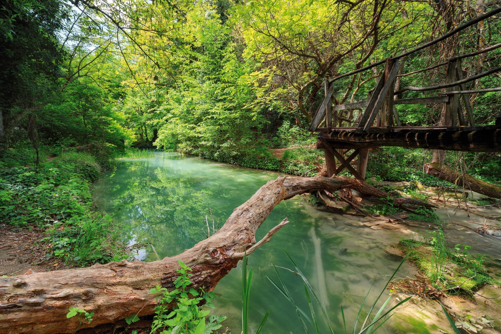 Планини. Александър Сандев - website