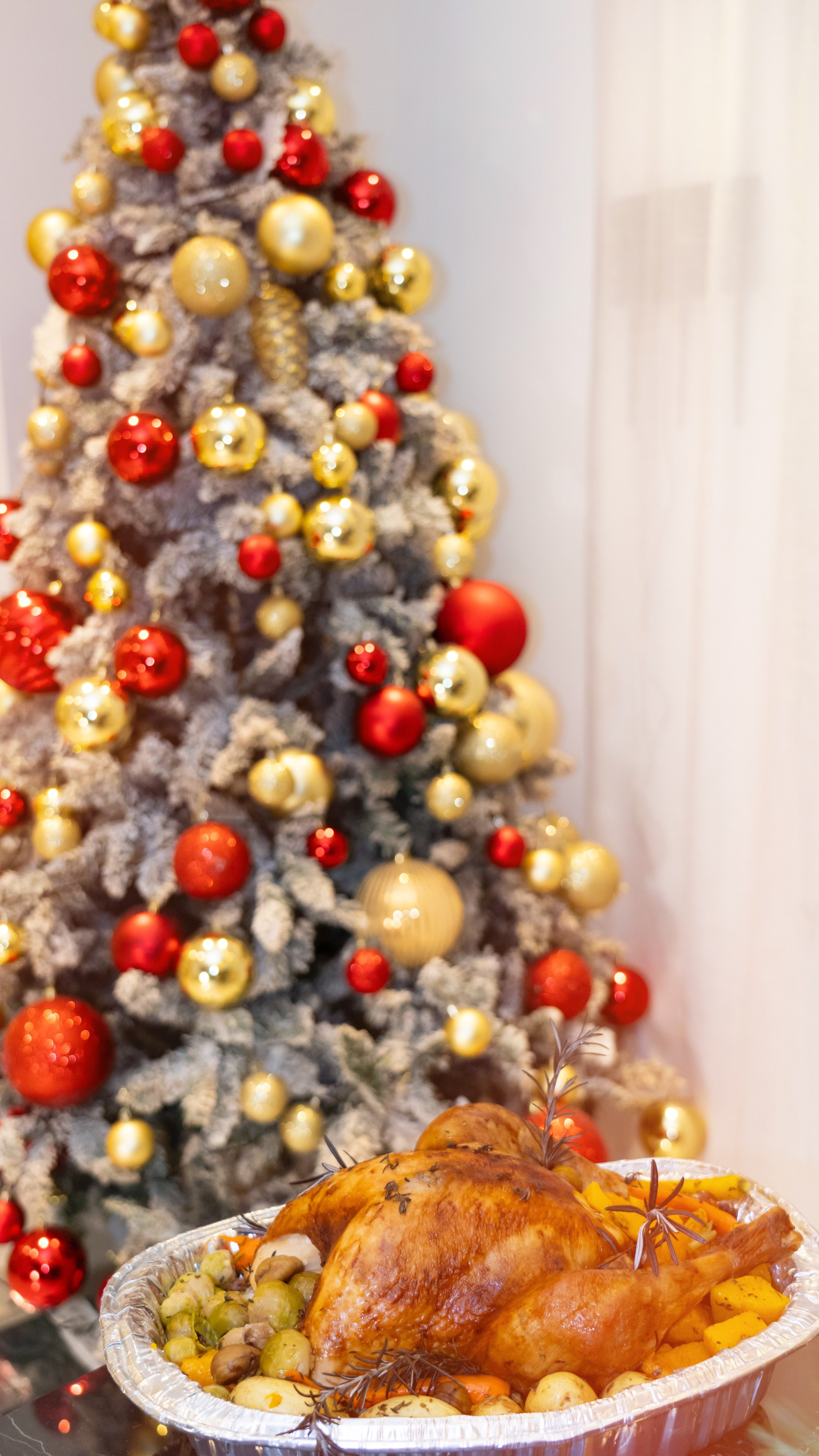 Timeless Holiday Memories. Photography | Videography | Marketing