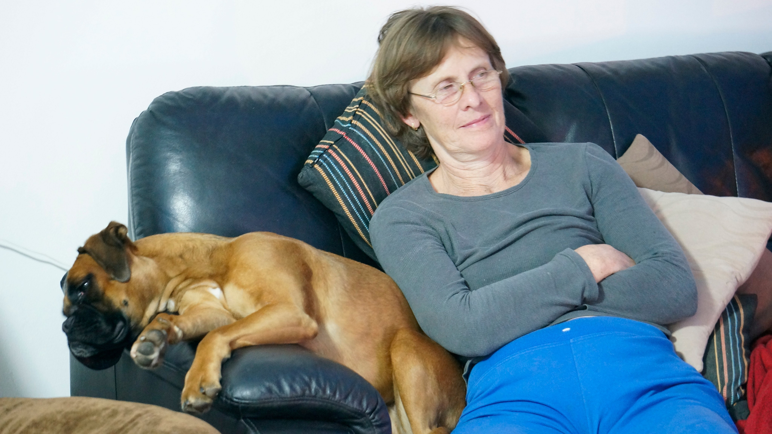 My ״Star״ Boxer Dog