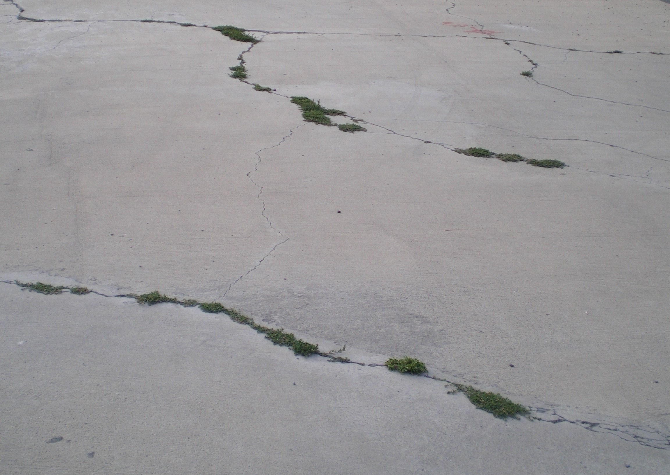 Ode to istanbul. Daria Sukhikh | Photography