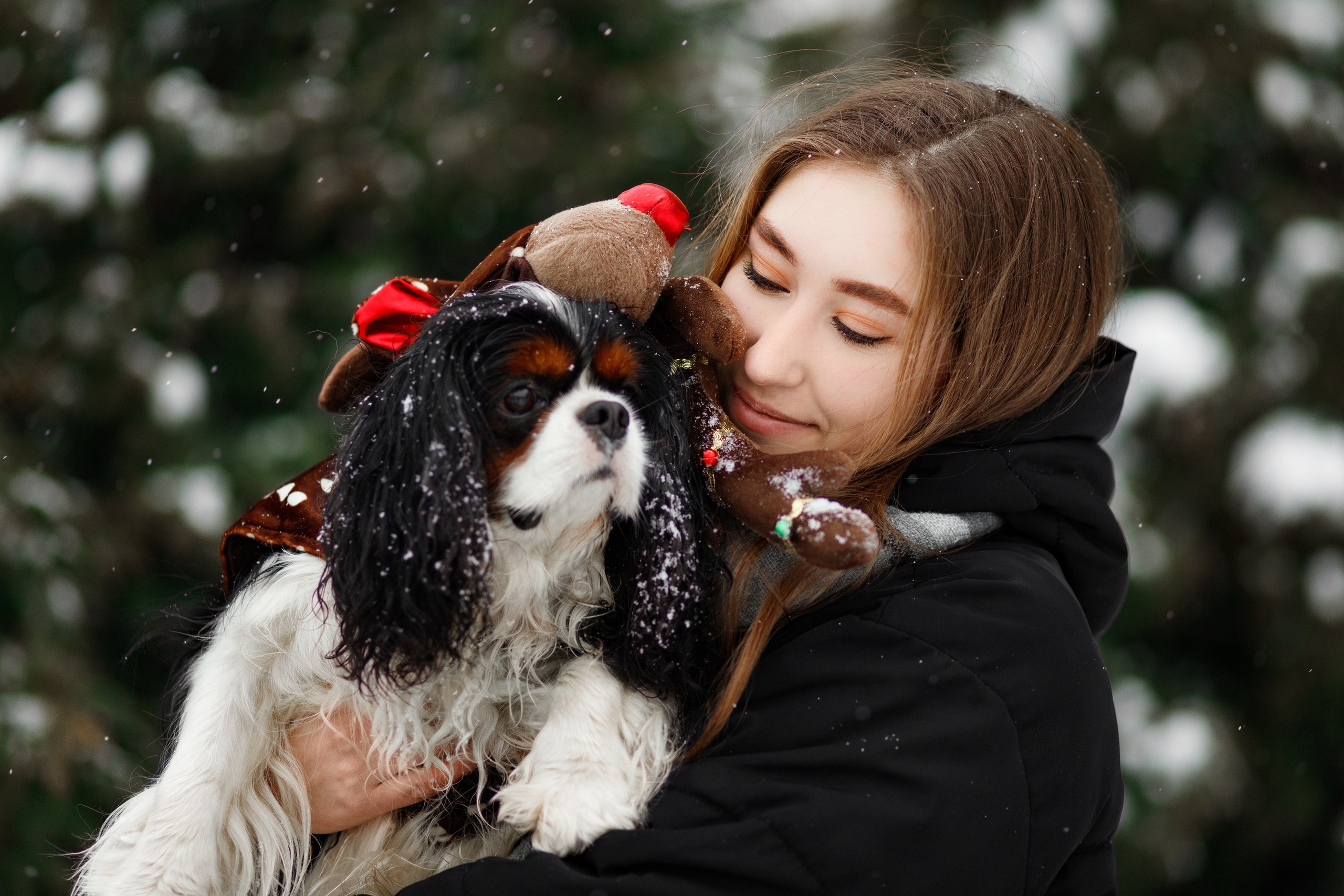 Uliana & winter spaniels. Kaja | fotograf psów we Wrocławiu