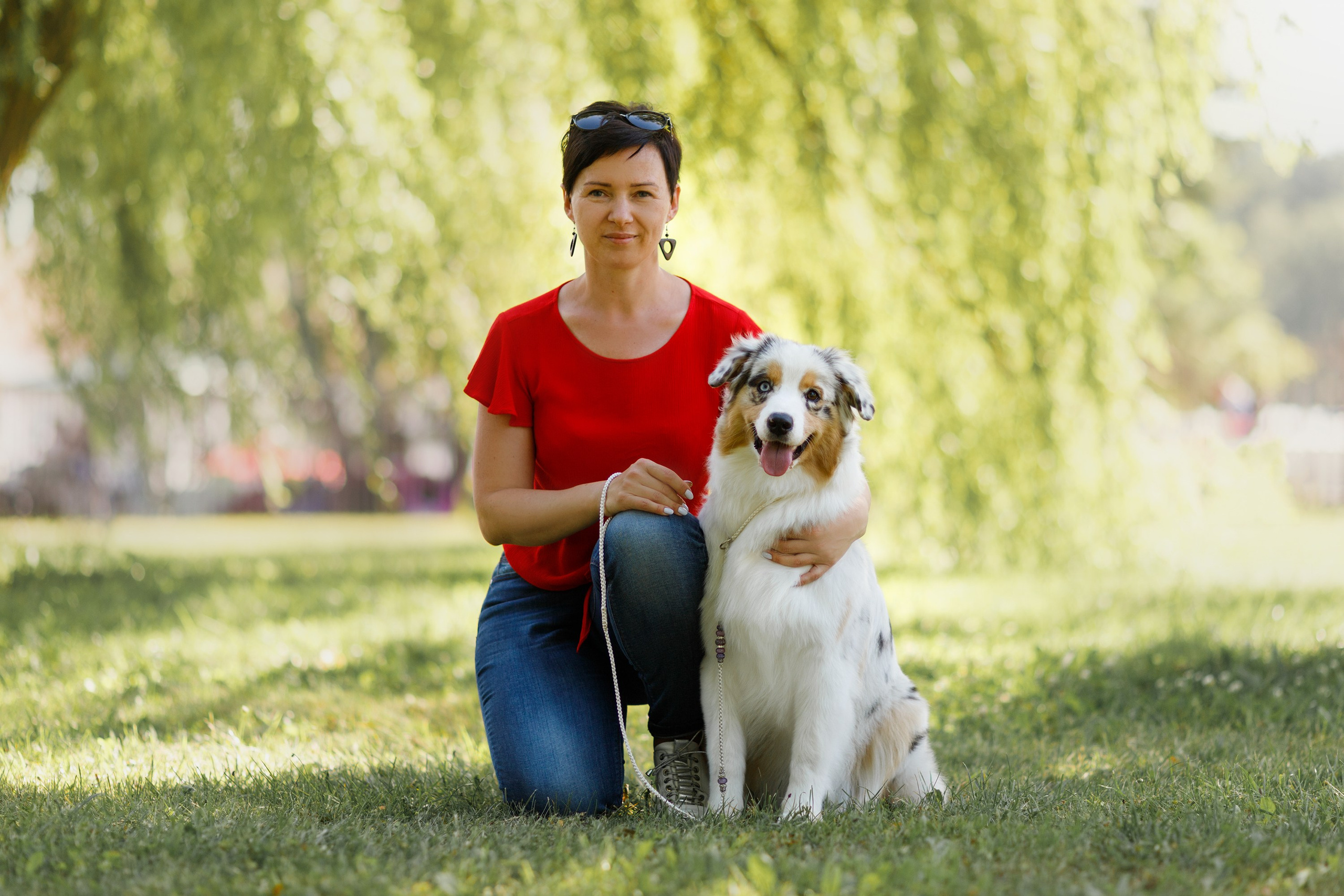Dog shows | the best ones. Kaja | fotograf psów we Wrocławiu
