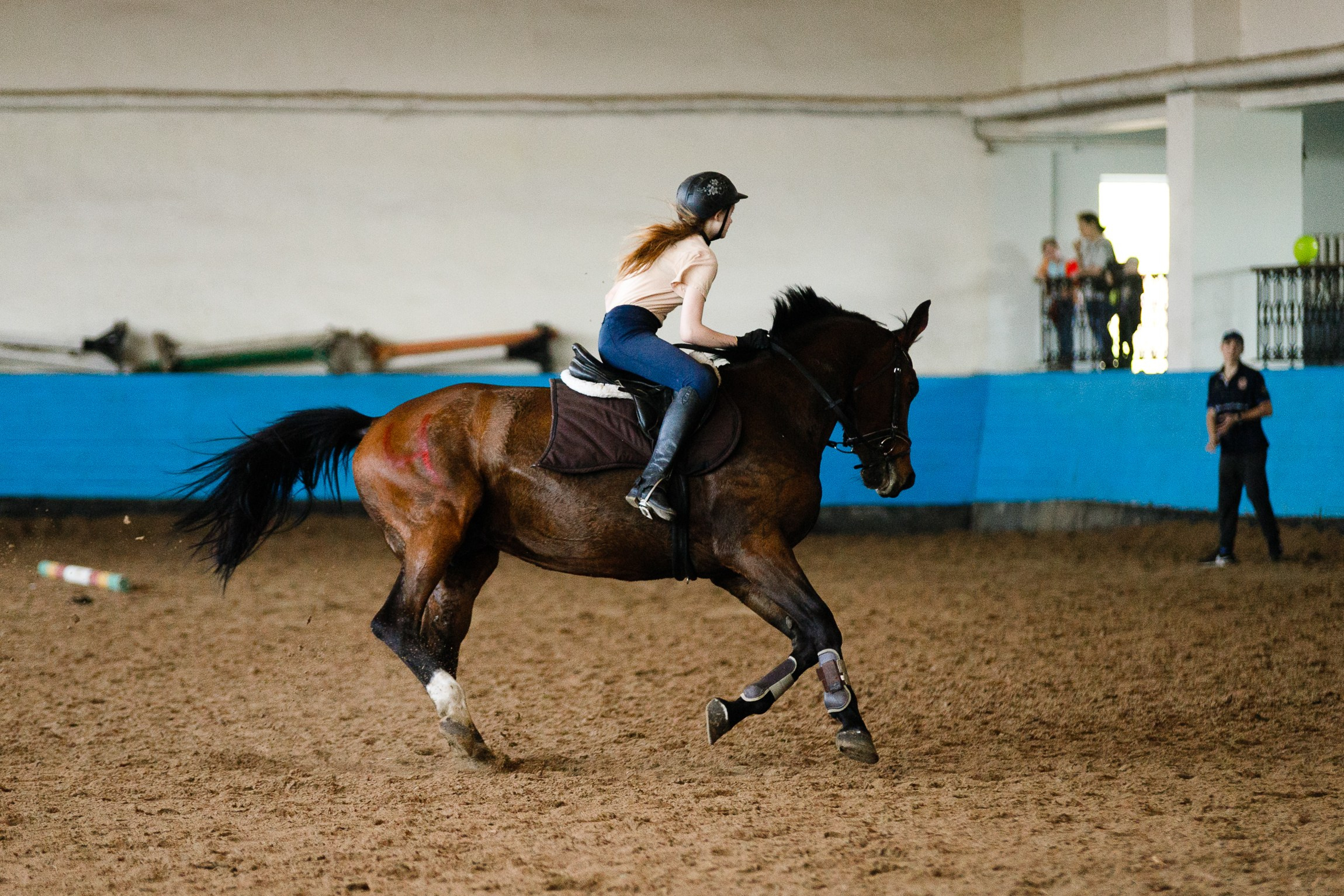Horse winter games. Kaja | fotograf we Wrocławiu | ludzie i psy