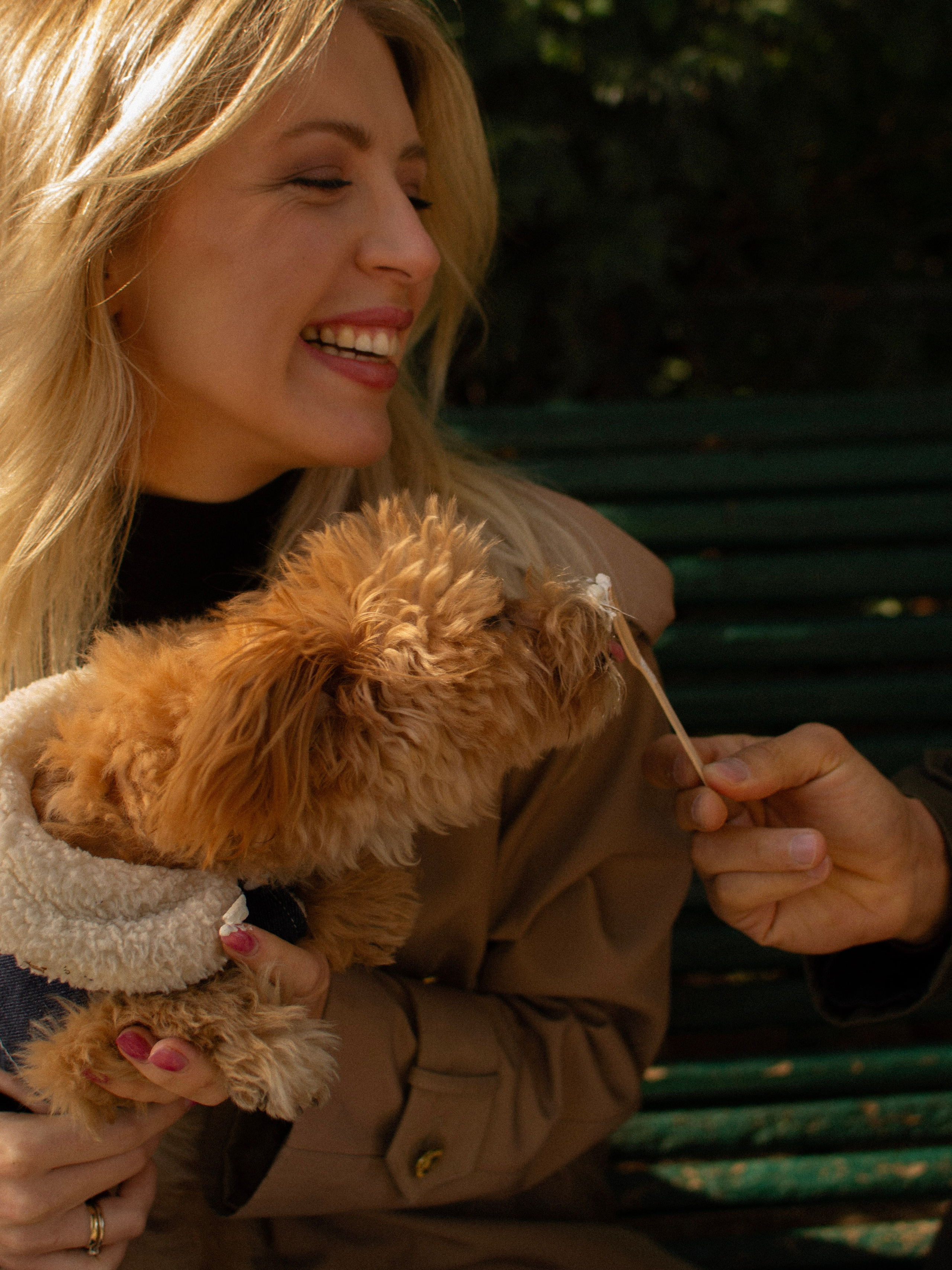 Barney, Nastya et Kolya. Photographe animalier à Paris Anna Pereira